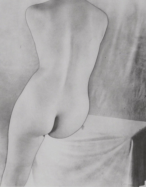 Erwin Blumenfeld, Composition, Erwin Blumenfeld, Electa Editrice Portfolios, Limited Edition Héliogravure