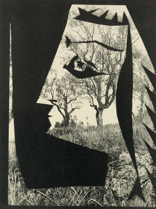 Pablo Picasso, Composition (Bloch 112; Kibbey 1466; Goeppert 115), Diurnes Découpages et Photographies, Limited Edition Phototype