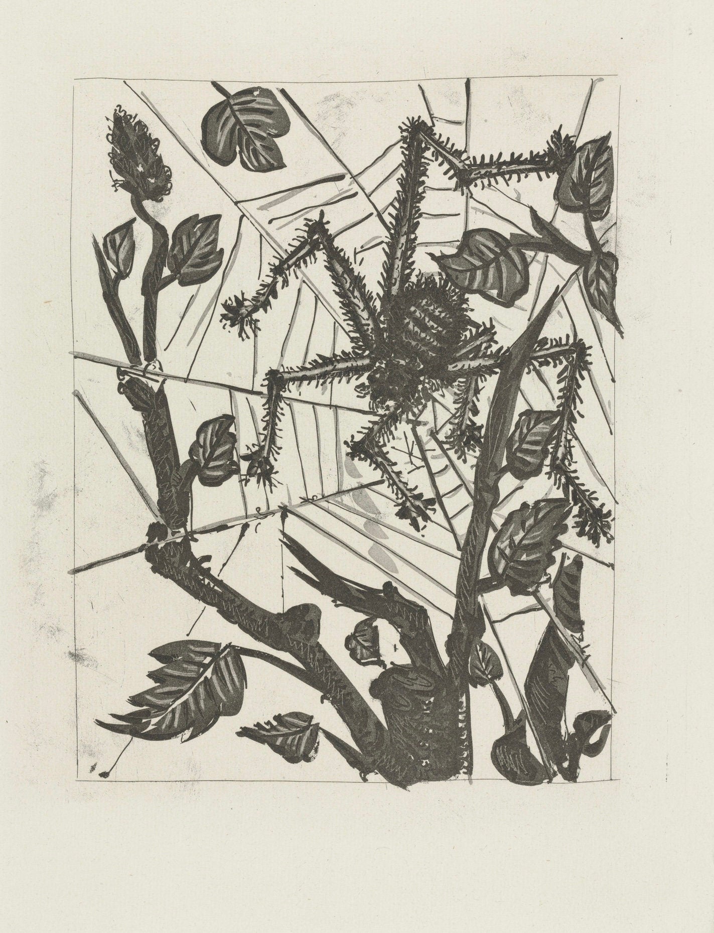 Pablo Picasso, L'Araignée, Histoire naturelle, Limited Edition Lithograph
