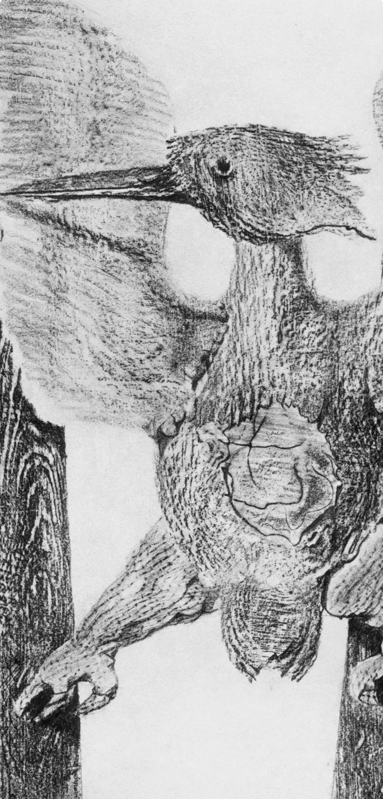 Max Ernst, Composition (Spies/Leppien 222), Histoire Naturelle, Limited Edition Lithograph