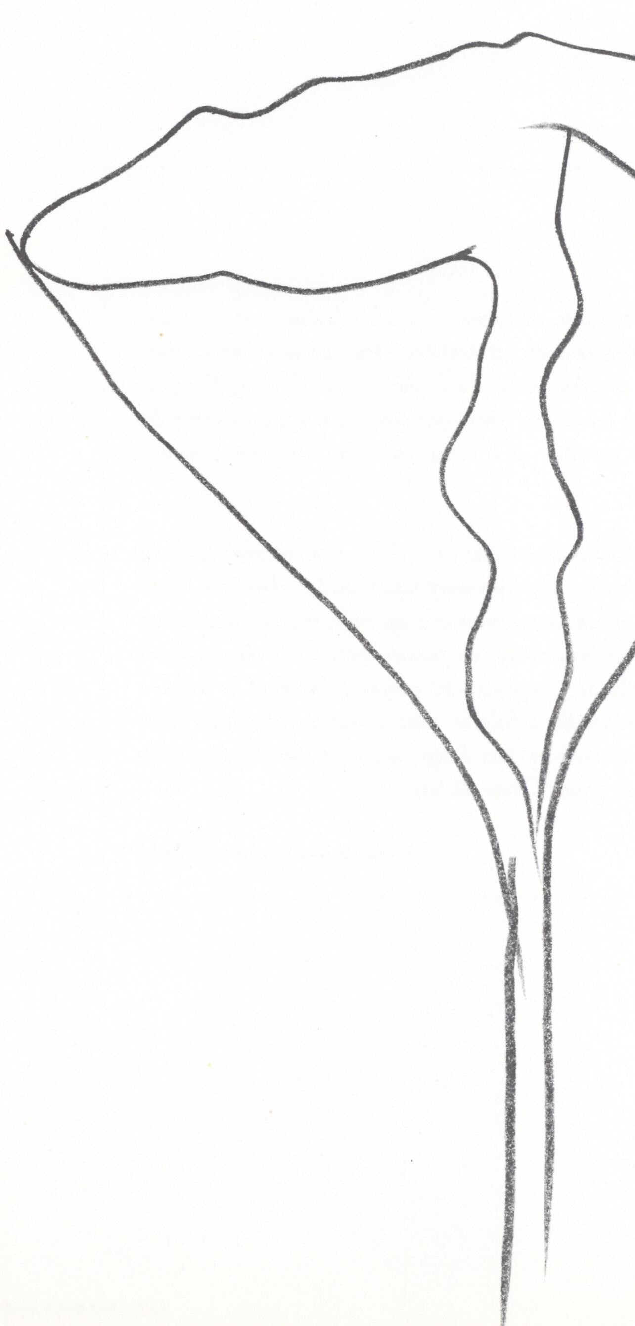 Ellsworth Kelly, Lotus (Axsom I-C), Hommage à Aimé et Marguerite Maeght, Derrière le miroir, Limited Edition Lithograph