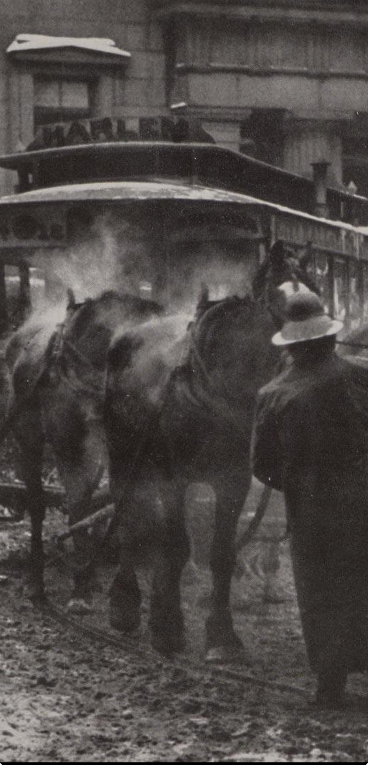 Alfred Stieglitz, The Terminal, Alfred Stieglitz Memorial Portfolio 1864-1946, Limited Edition Halftone Photograph