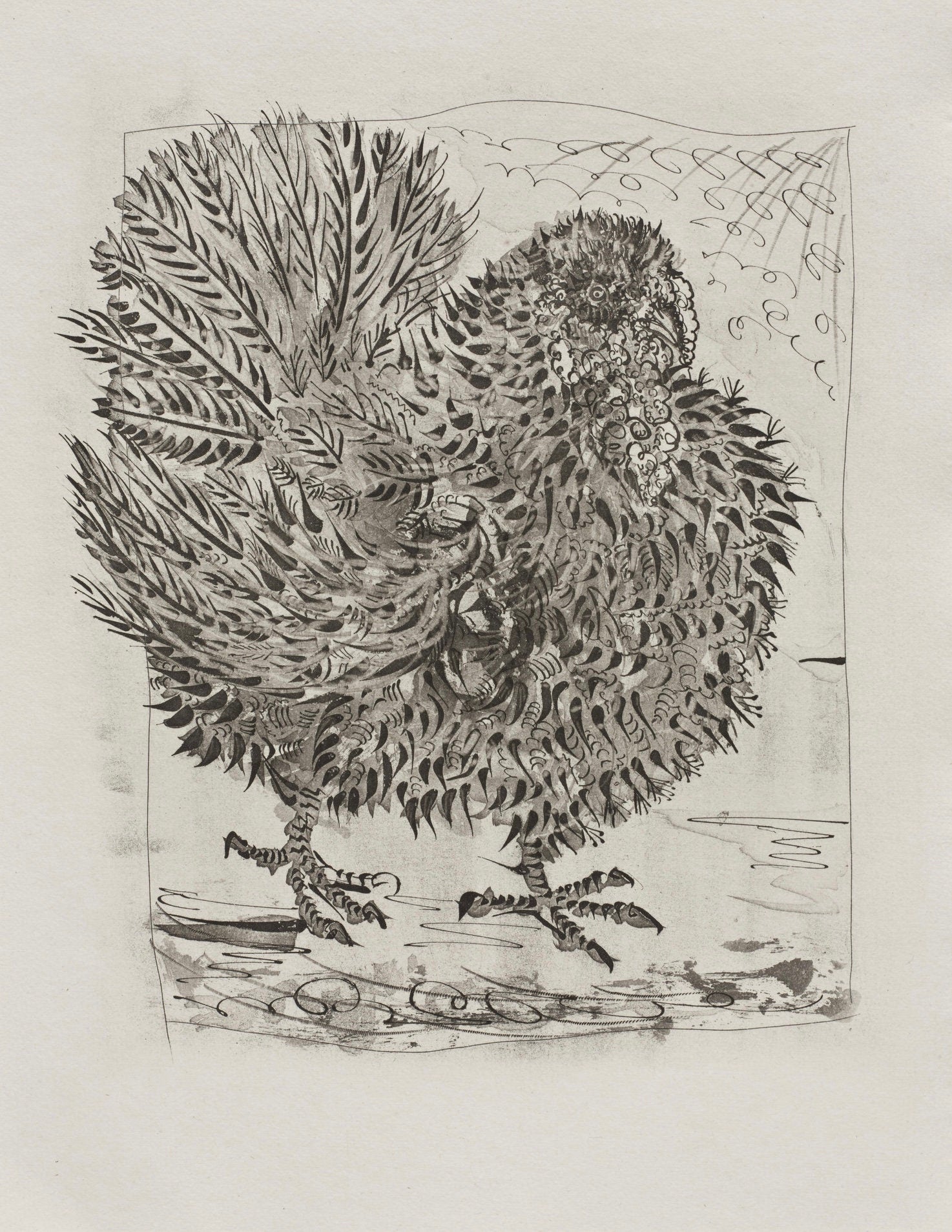 Pablo Picasso, Le Dindon, Histoire naturelle, Limited Edition Lithograph