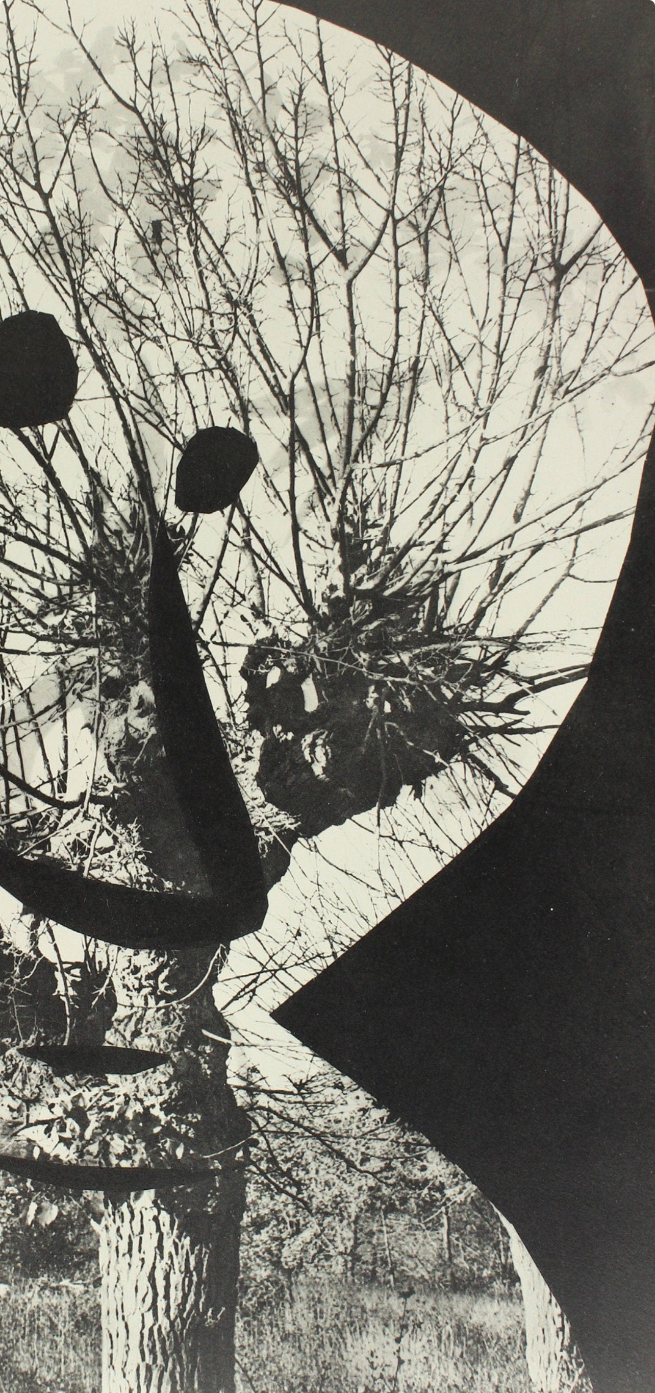 Pablo Picasso, Composition (Bloch 112; Kibbey 1466; Goeppert 115), Diurnes Découpages et Photographies, Limited Edition Phototype