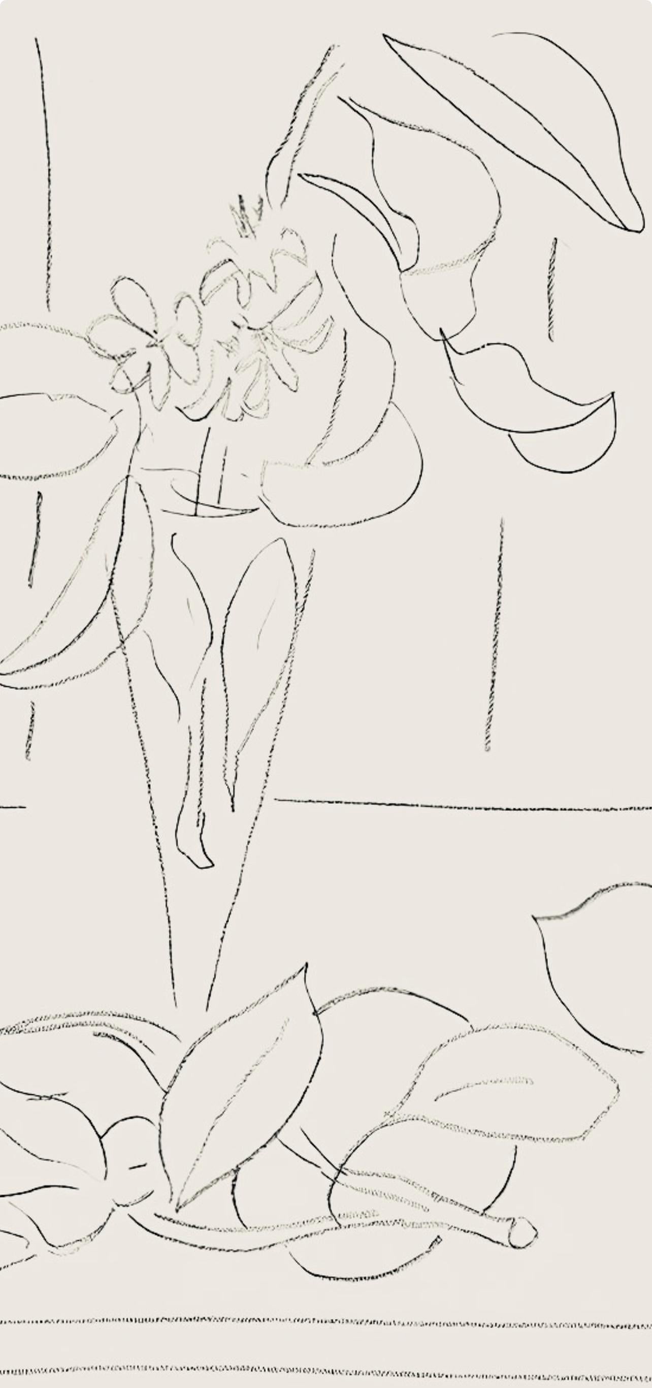 Henri Matisse, Série M, var. 6 (Duthuit 9), Henri Matisse, Dessins, Thèmes et variations, Limited Edition Lithograph