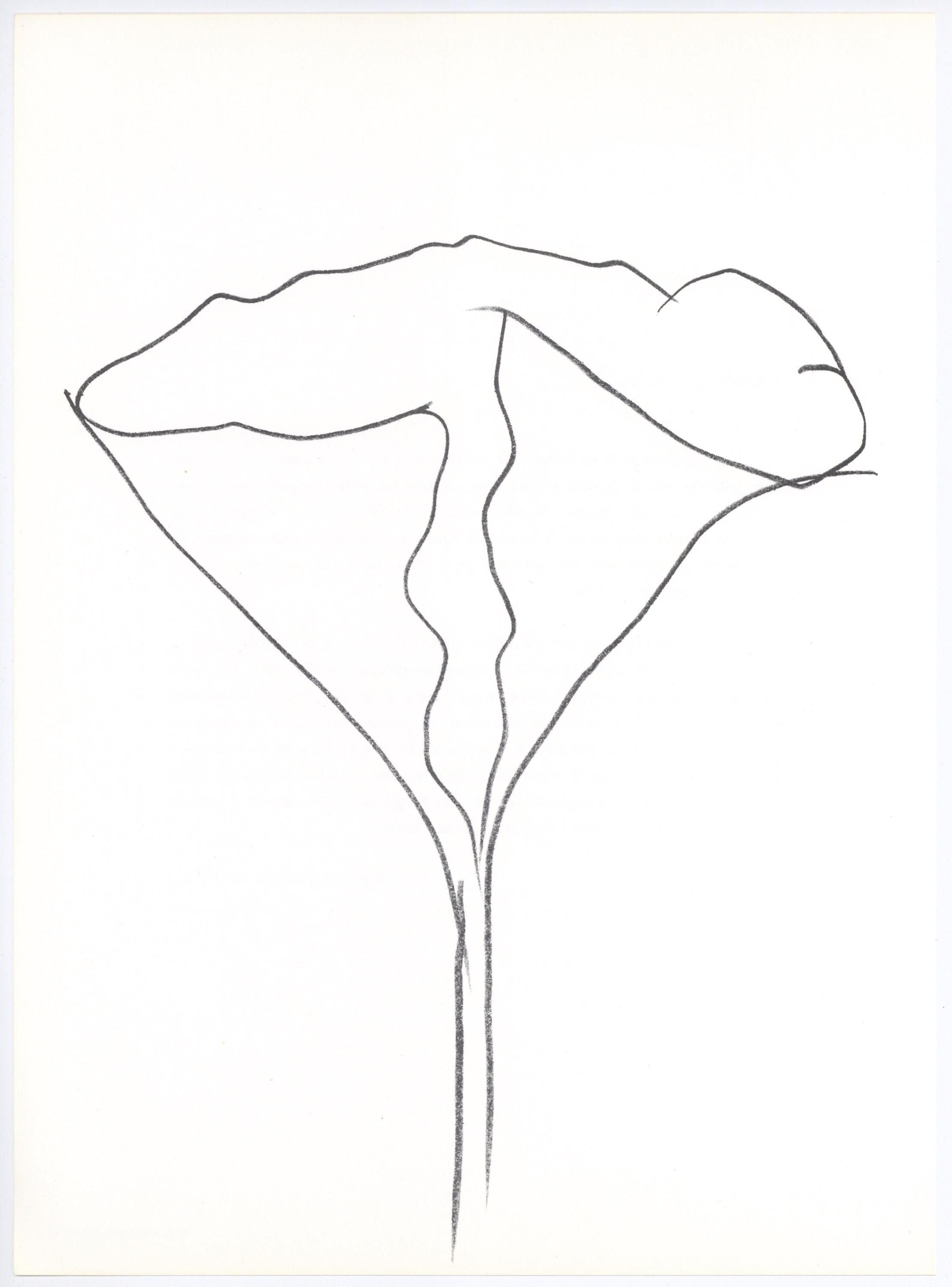Ellsworth Kelly, Lotus (Axsom I-C), Hommage à Aimé et Marguerite Maeght, Derrière le miroir, Limited Edition Lithograph