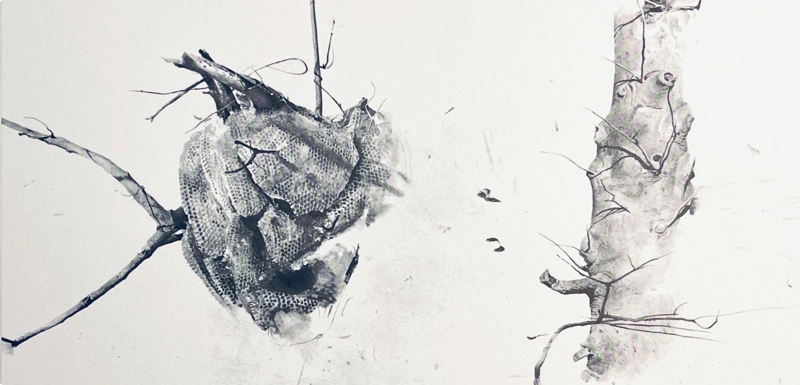 Andrew Wyeth, Storing Up, The Four Seasons, Limited Edition Lithograph