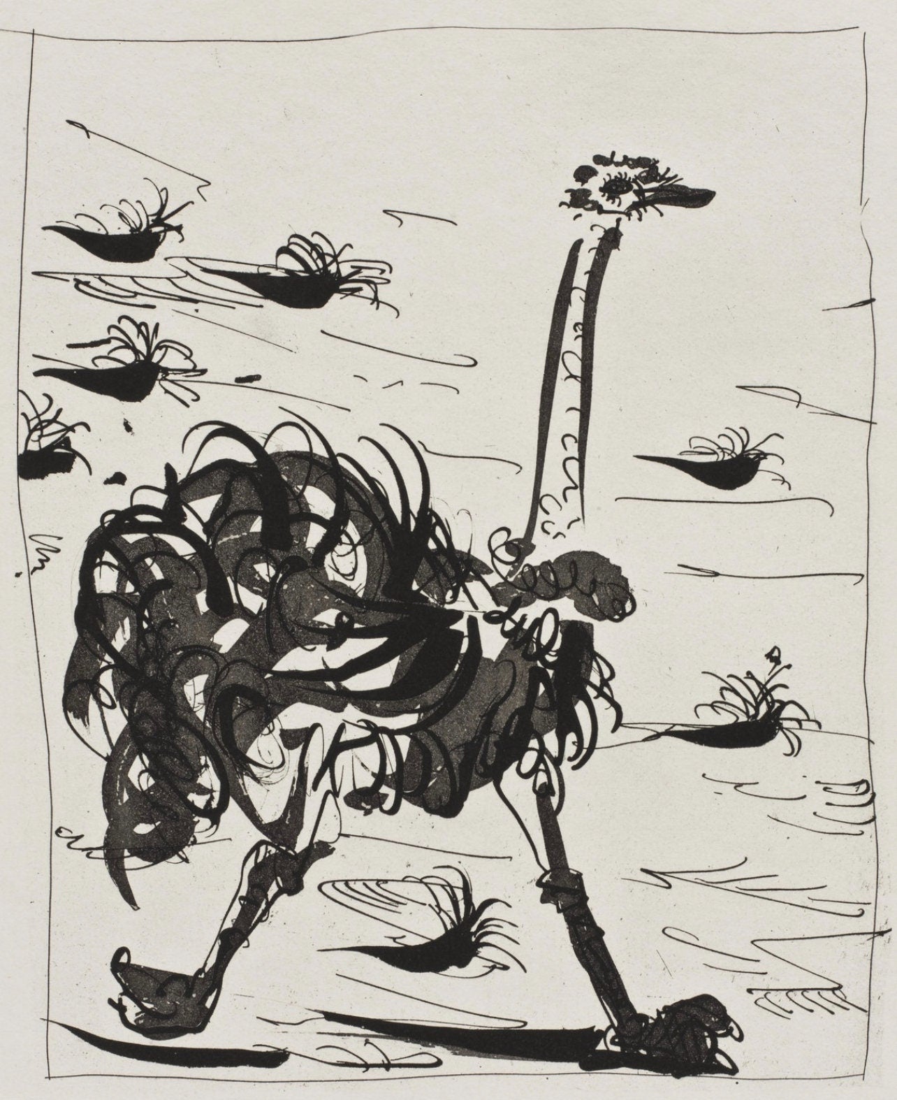 Pablo Picasso, L'Autruche, Histoire naturelle, Limited Edition Lithograph