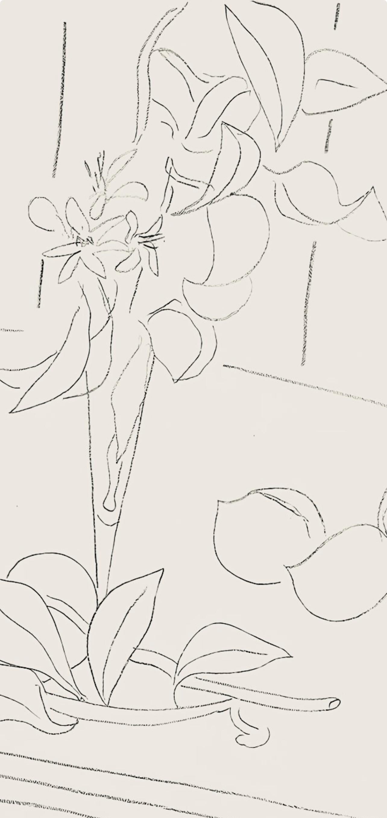 Henri Matisse, Série M, var. 4 (Duthuit 9), Henri Matisse, Dessins, Thèmes et variations, Limited Edition Lithograph