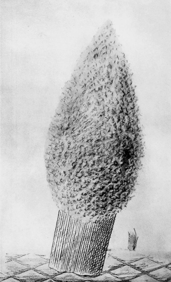 Max Ernst, Composition (Spies/Leppien 222), Histoire Naturelle, Limited Edition Lithograph