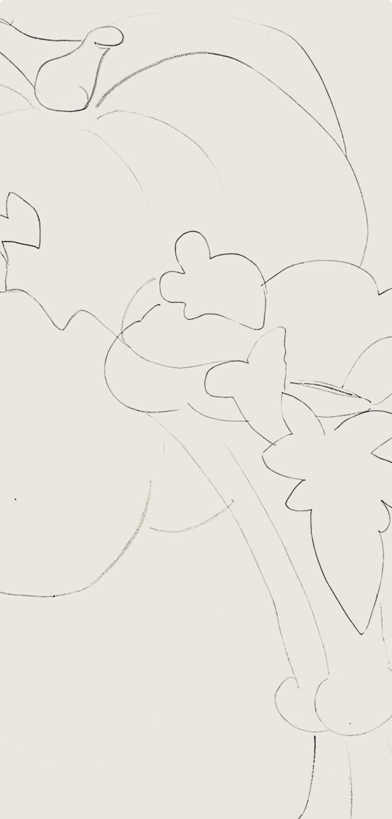 Henri Matisse, Série H, var. 9 (Duthuit 9), Henri Matisse, Dessins, Thèmes et variations, Limited Edition Lithograph