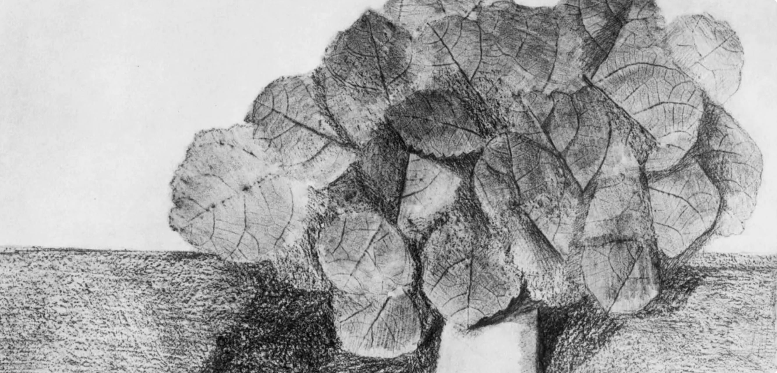 Max Ernst, Composition (Spies/Leppien 222), Histoire Naturelle, Limited Edition Lithograph