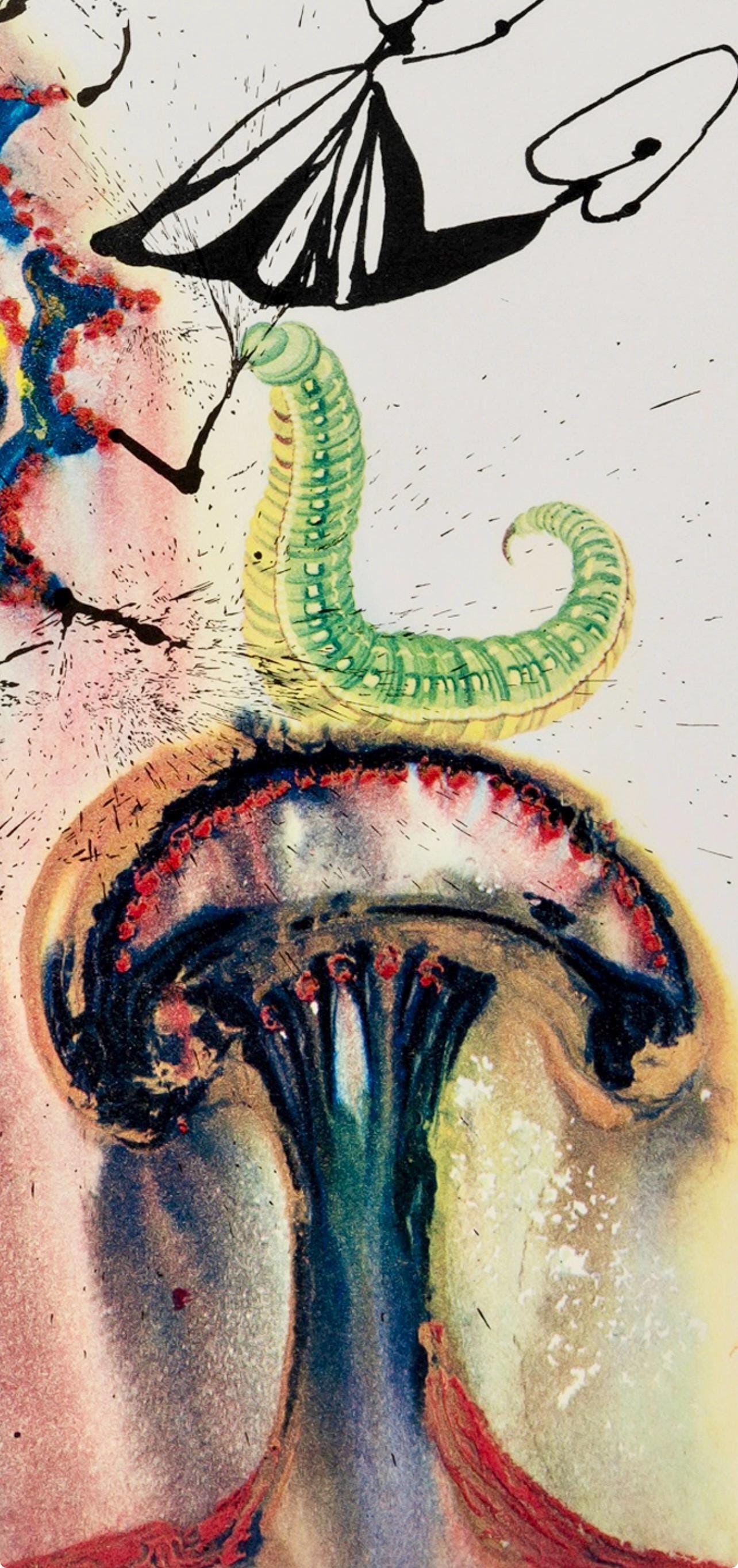 Salvador Dalí, Composition (Field 69-5, A-M), Alice's Adventures in Wonderland, Limited Edition Héliogravure