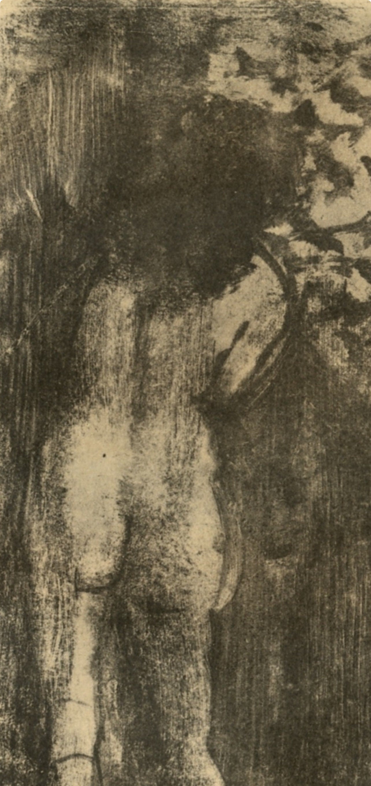 Edgar Degas, Les Femmes, E. Degas Monotypes, Limited Edition Monotype