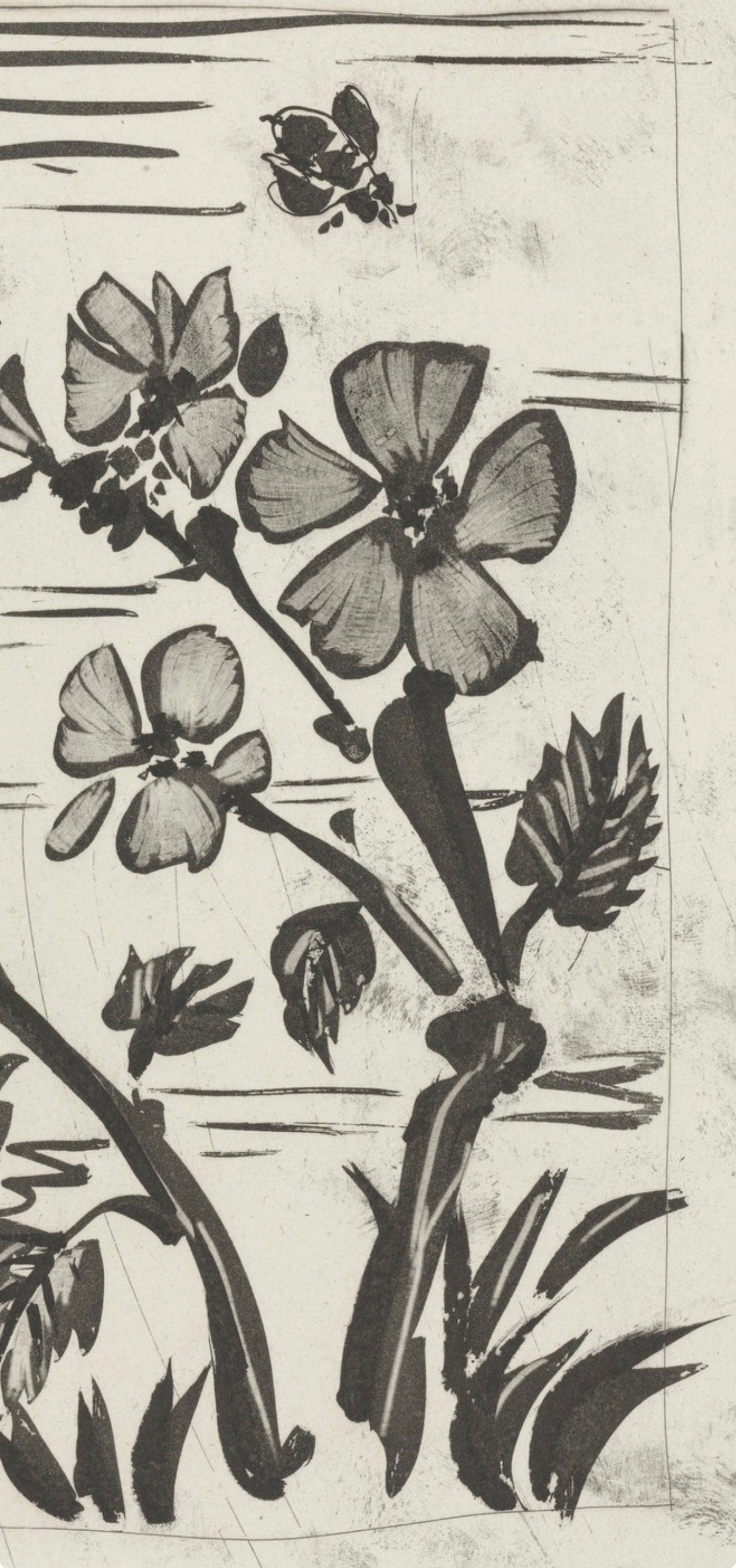 Pablo Picasso, L'Abeille, Histoire naturelle, Limited Edition Lithograph
