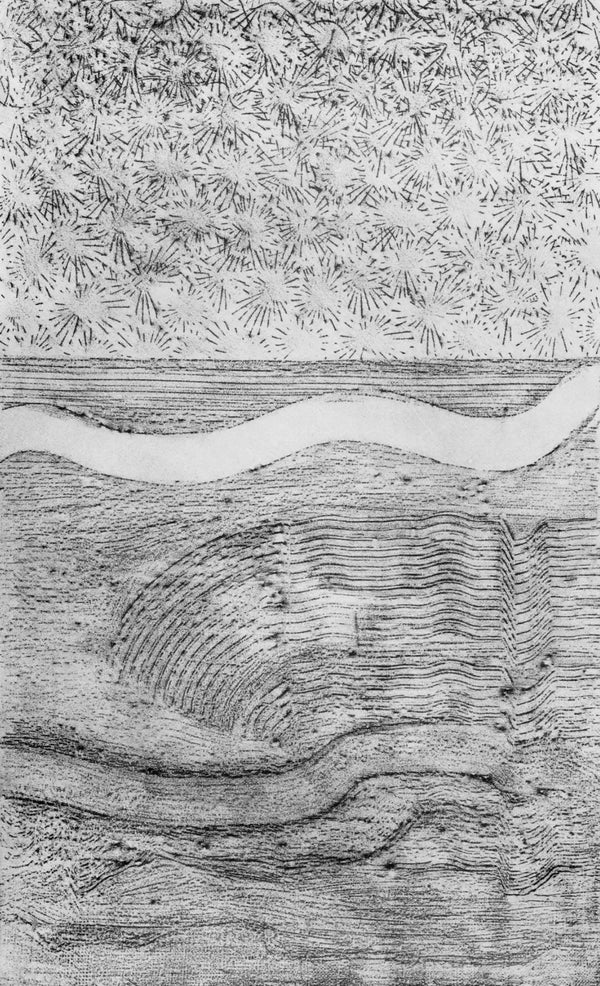 Max Ernst, Composition (Spies/Leppien 222), Histoire Naturelle, Limited Edition Lithograph