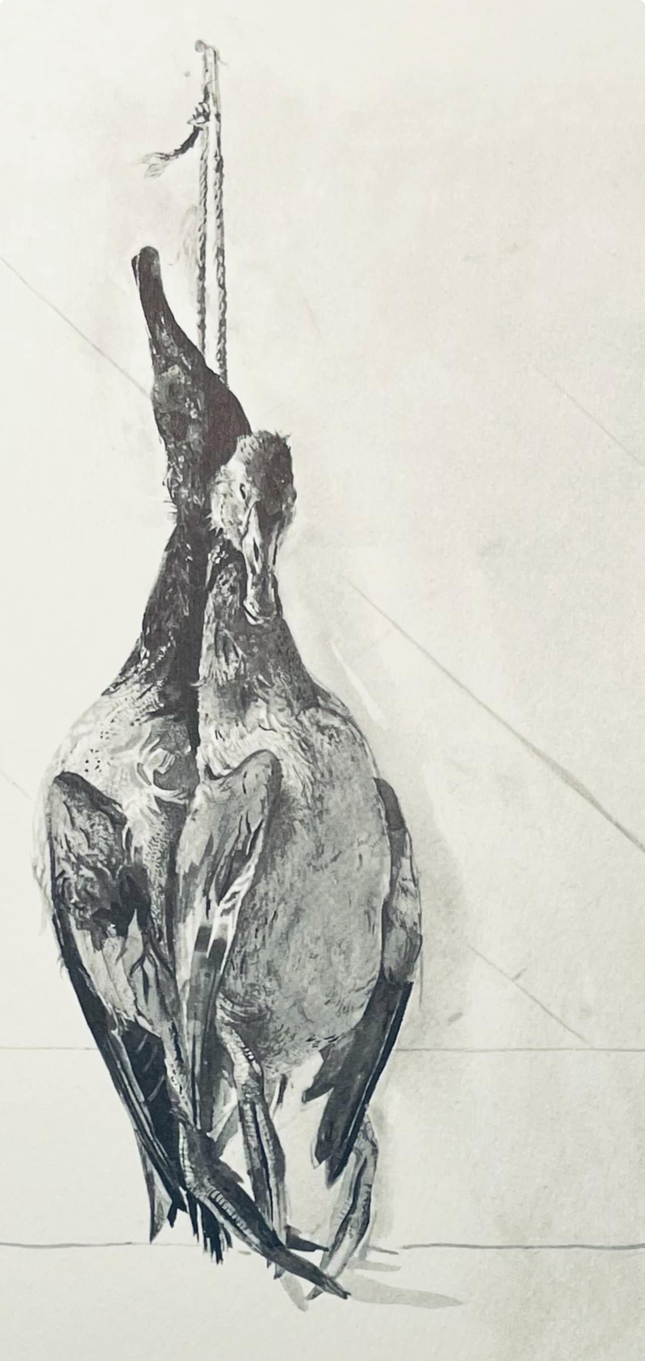 Andrew Wyeth, Canvasbacks, The Four Seasons, Limited Edition Lithograph