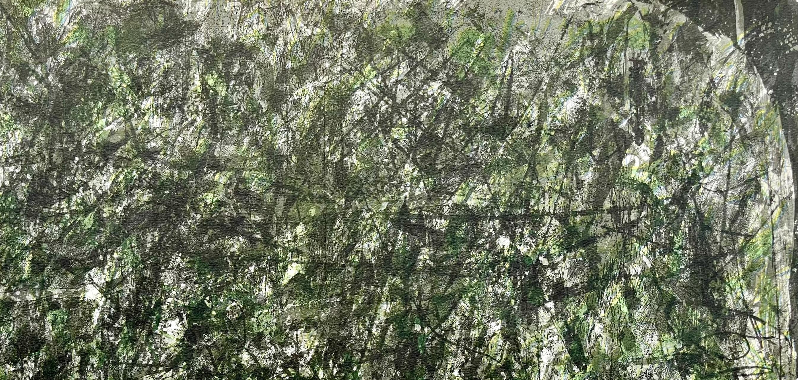François Fiedler, Composition, Derrière le miroir, Limited Edition Lithograph