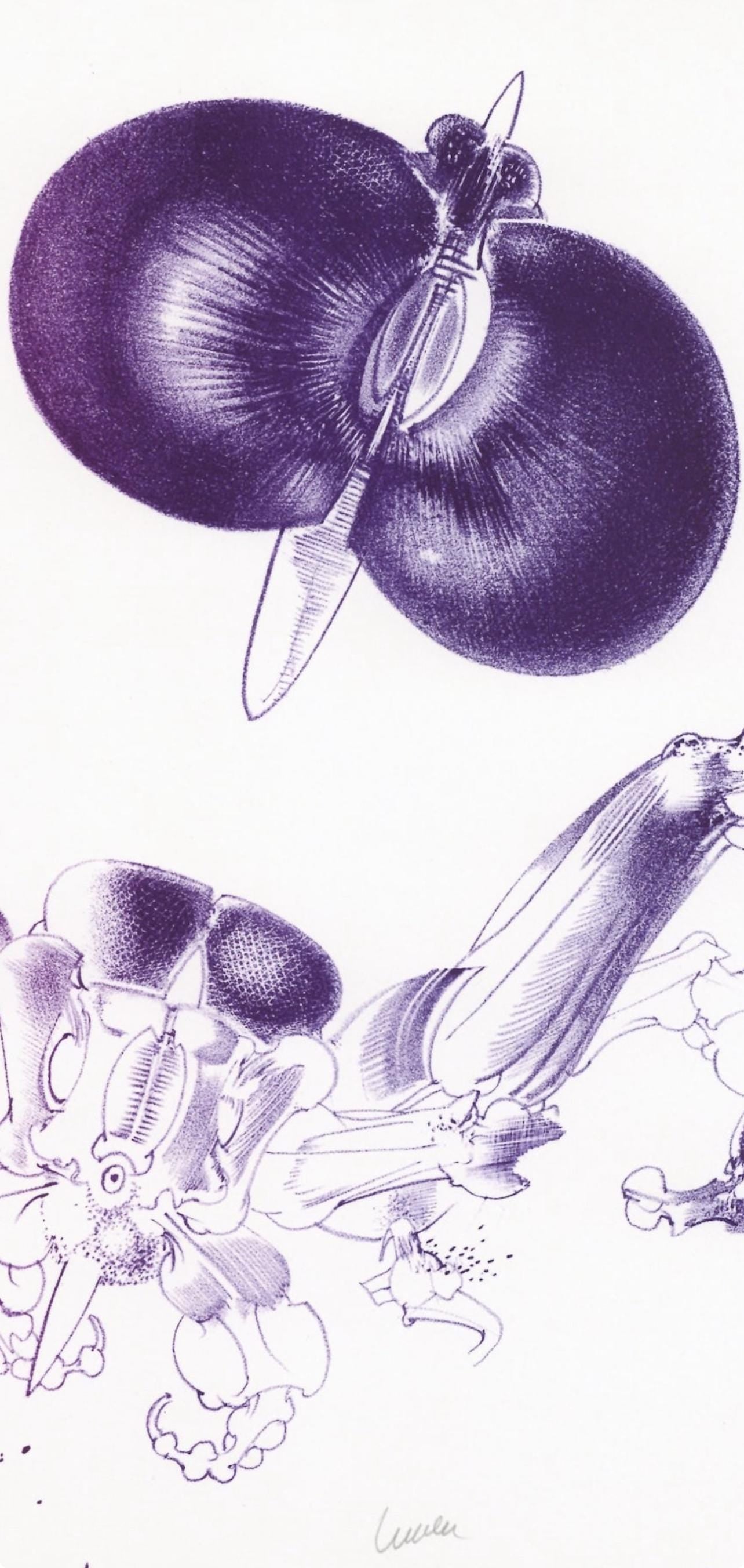 François Lunven, Composition, Variations sur l'imaginaire, Limited Edition Lithograph