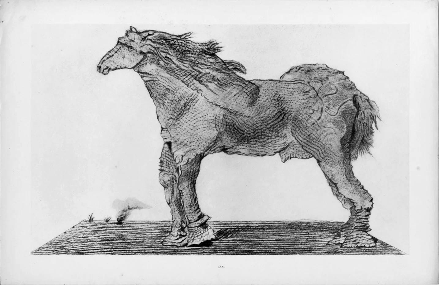 Max Ernst, Composition (Spies/Leppien 222), Histoire Naturelle, Limited Edition Lithograph