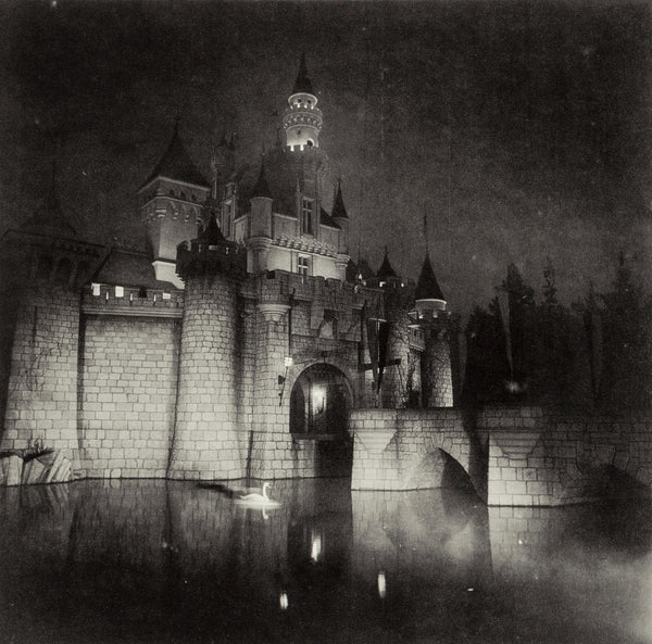 Diane Arbus, Composition, Diane Arbus, Electa Editrice Portfolios, Limited Edition Héliogravure