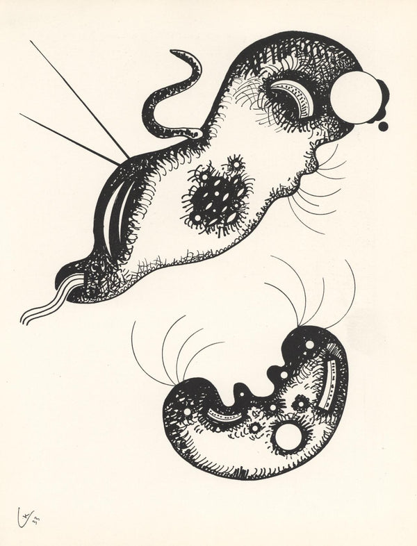 Wassily Kandinsky, Composition, XXe siècle, Limited Edition Lithograph