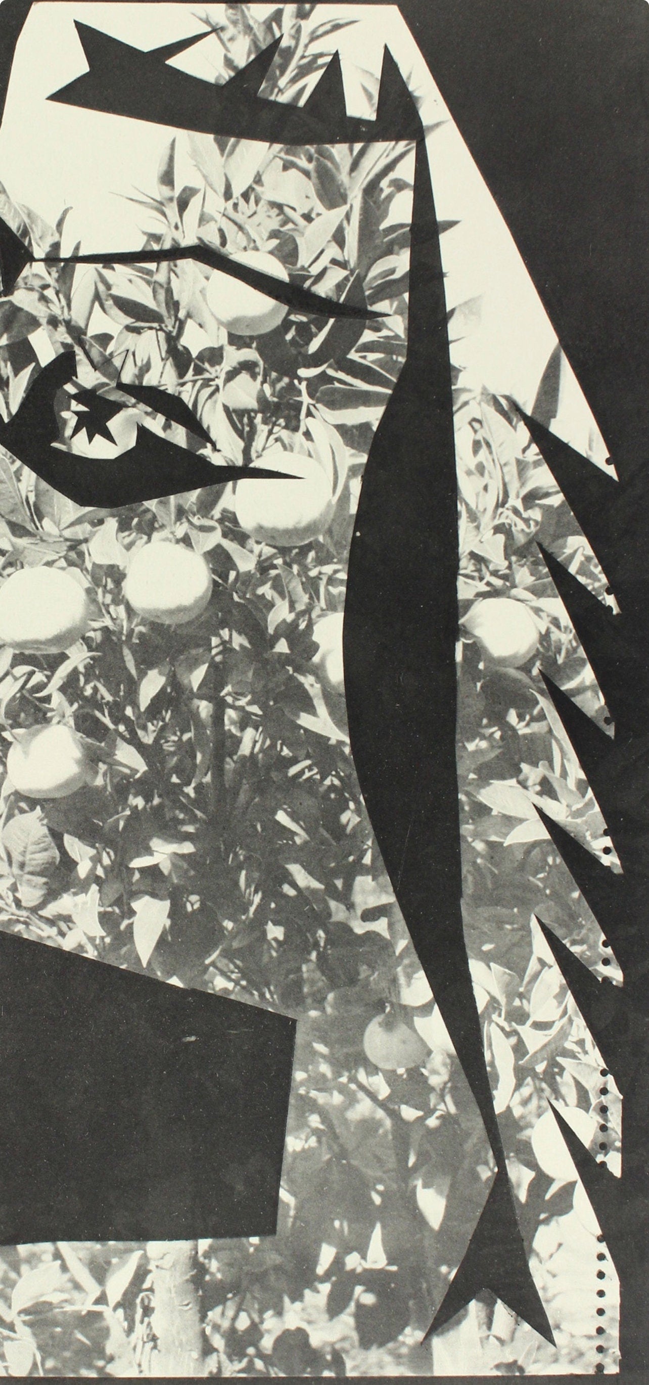 Pablo Picasso, Composition (Bloch 112; Kibbey 1466; Goeppert 115), Diurnes Découpages et Photographies, Limited Edition Phototype