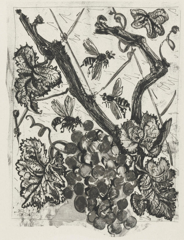 Pablo Picasso, La Guêpe, Histoire naturelle, Limited Edition Lithograph