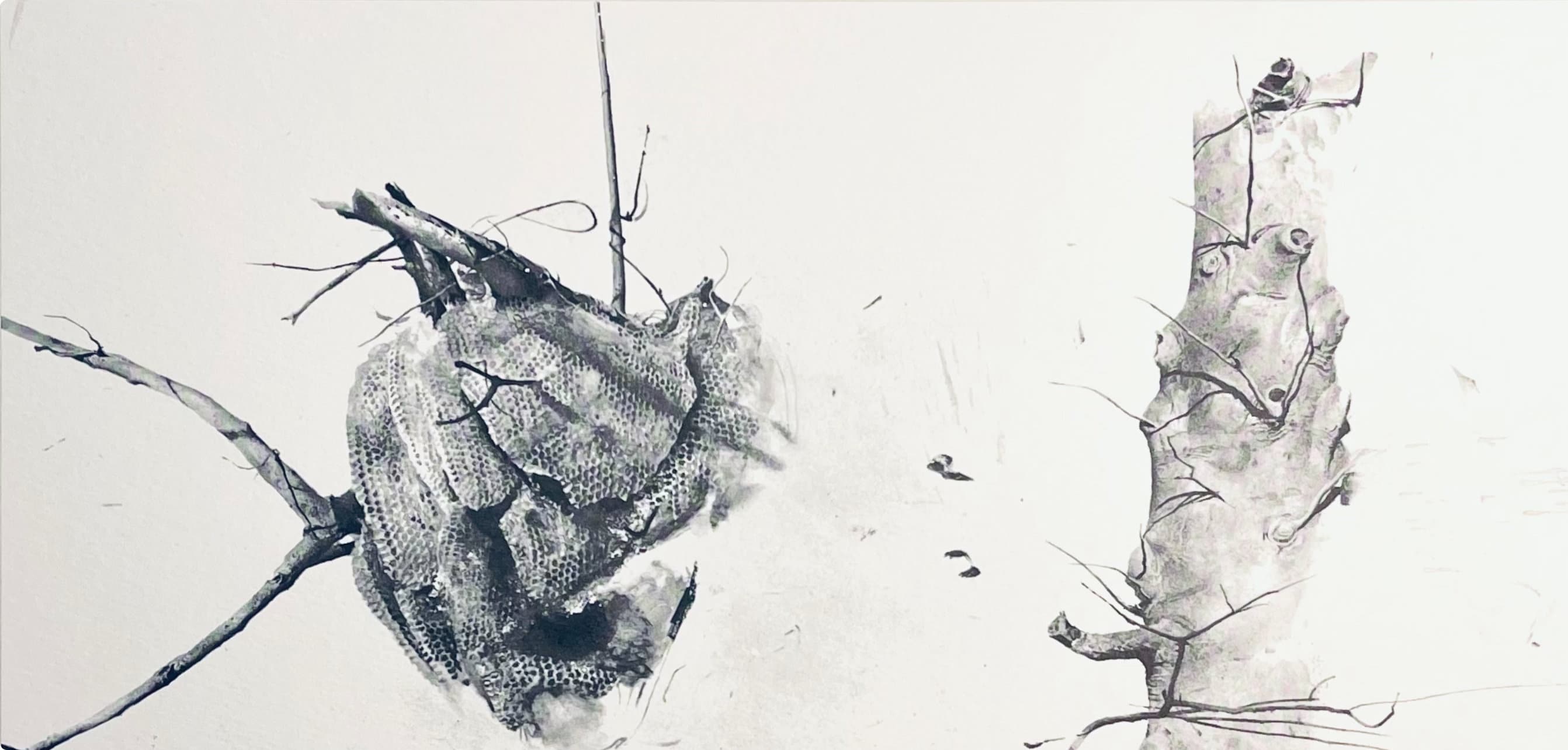Andrew Wyeth, Storing Up, The Four Seasons, Limited Edition Lithograph