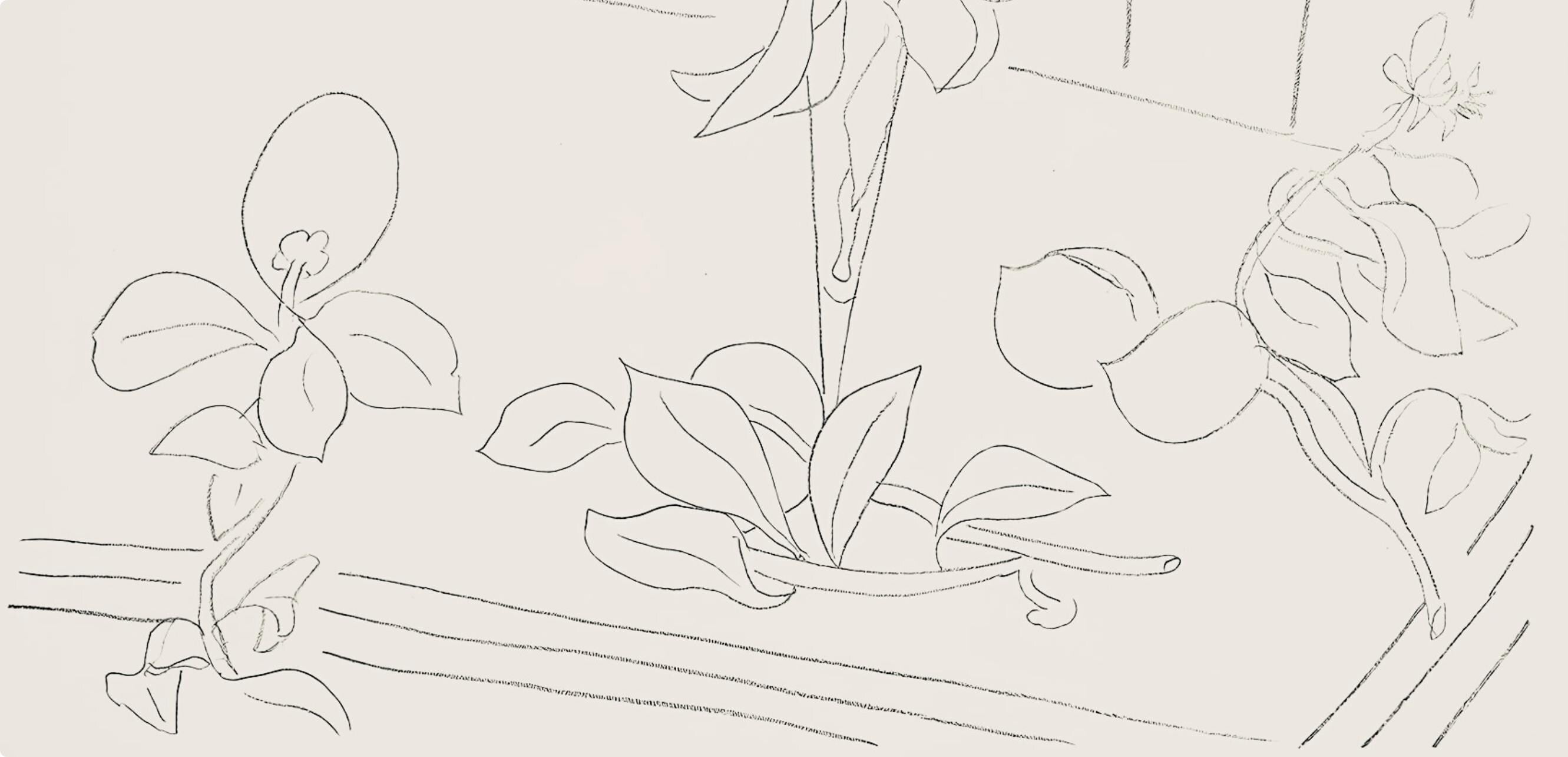 Henri Matisse, Série M, var. 4 (Duthuit 9), Henri Matisse, Dessins, Thèmes et variations, Limited Edition Lithograph