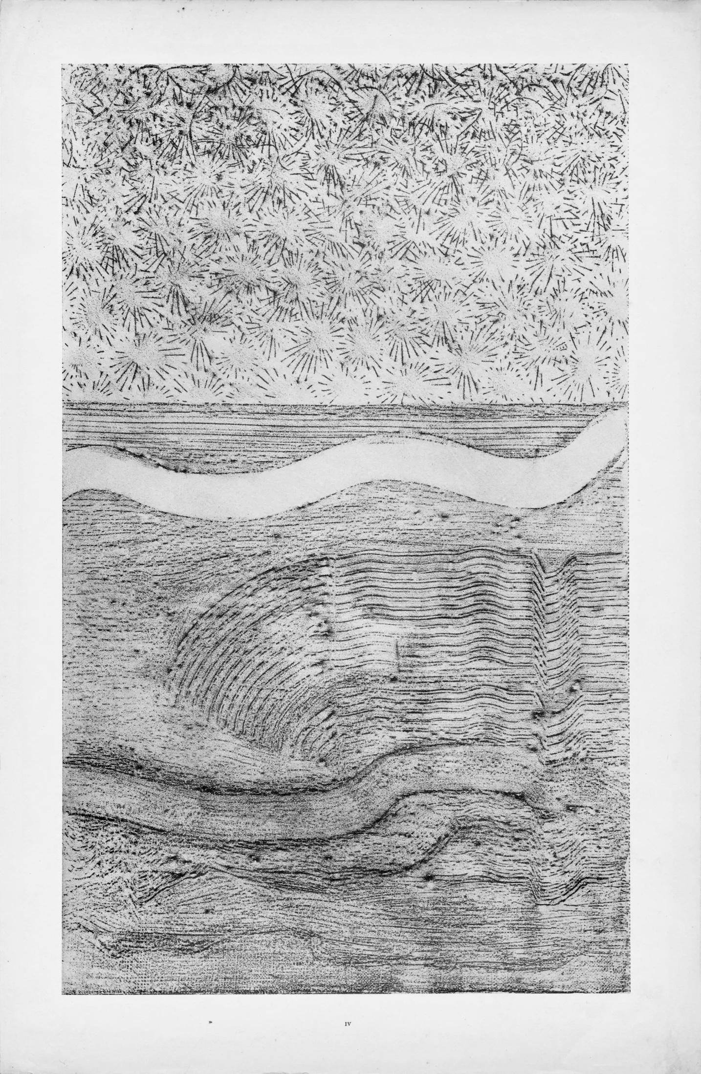 Max Ernst, Composition (Spies/Leppien 222), Histoire Naturelle, Limited Edition Lithograph