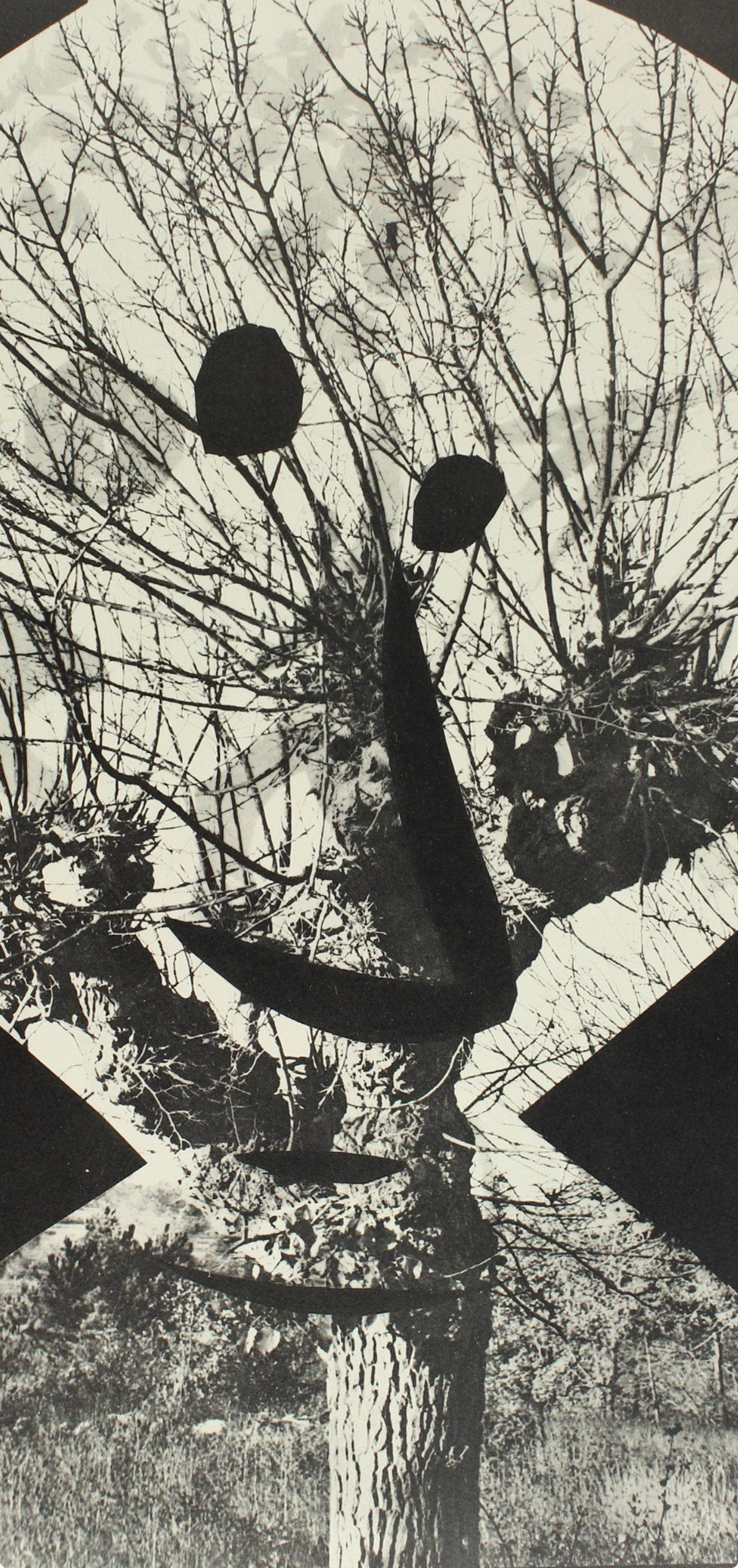 Pablo Picasso, Composition (Bloch 112; Kibbey 1466; Goeppert 115), Diurnes Découpages et Photographies, Limited Edition Phototype