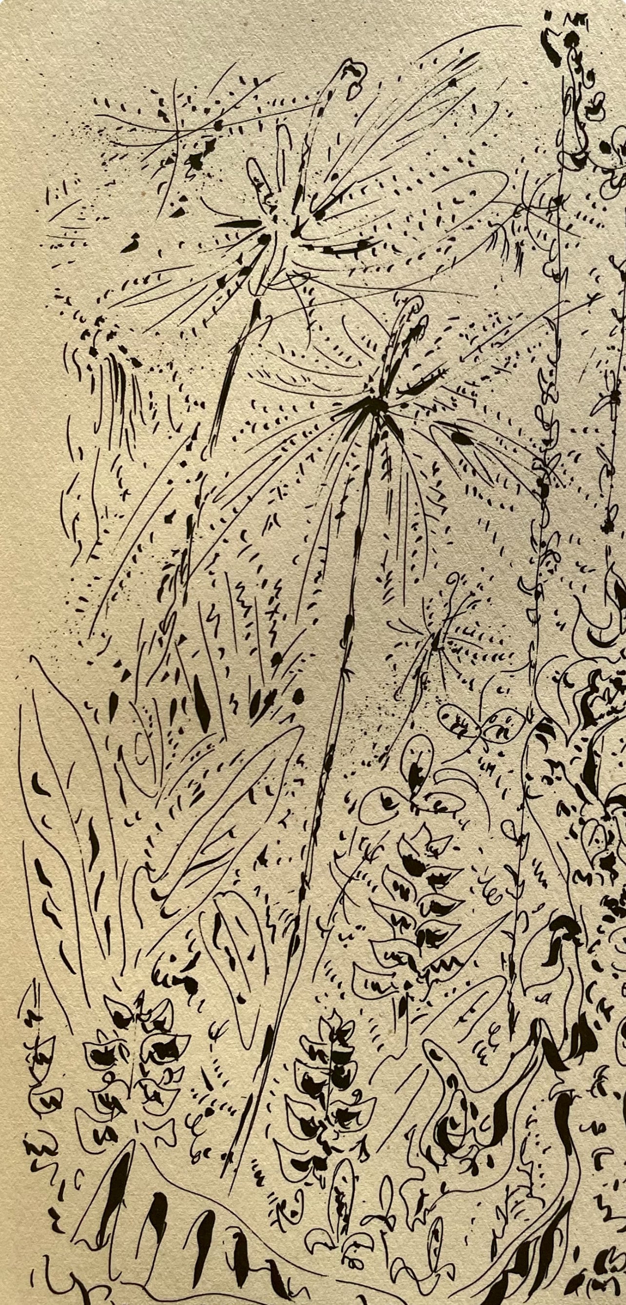 André Masson, Forêt martiniquaise, Masson Dessins, Limited Edition Lithograph