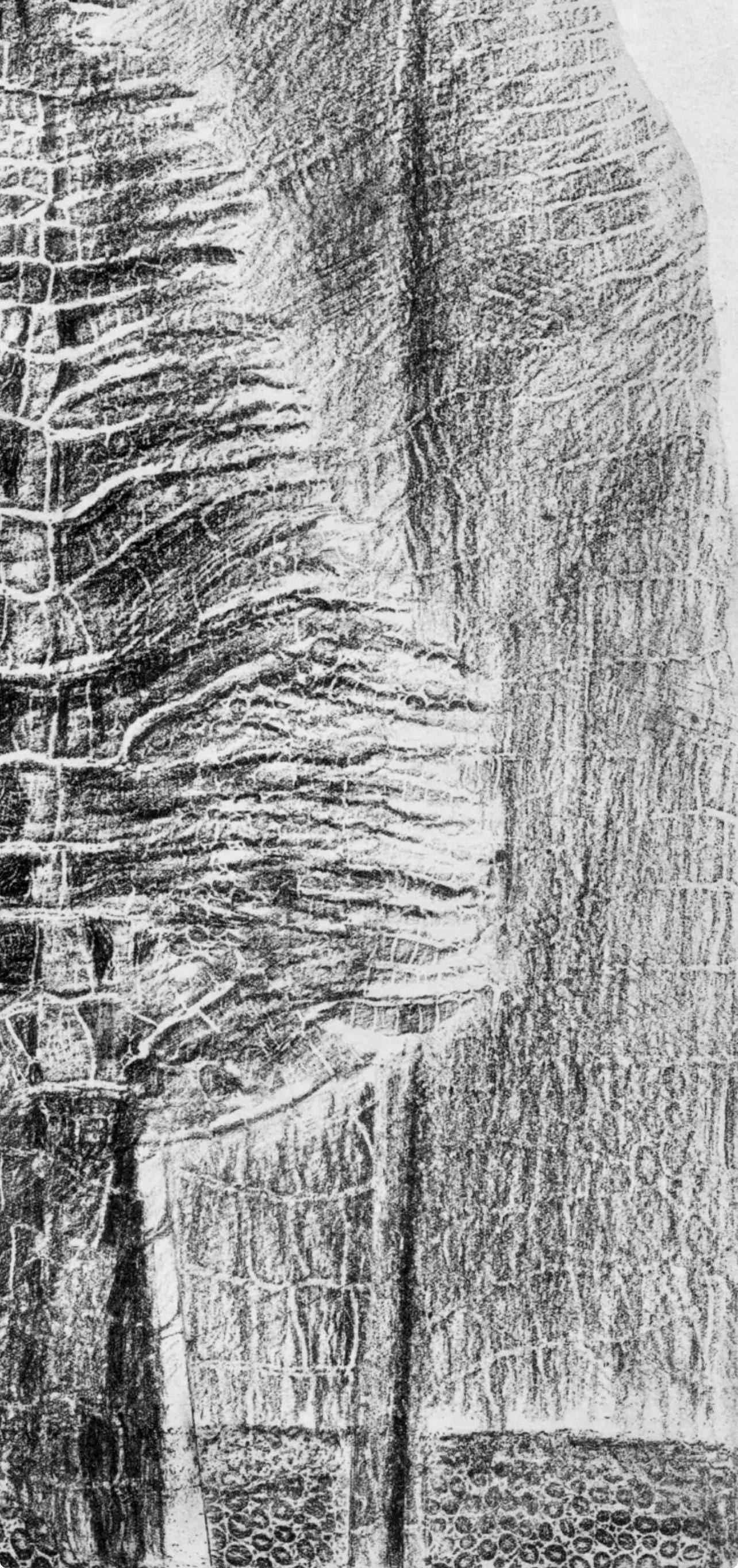 Max Ernst, Composition (Spies/Leppien 222), Histoire Naturelle, Limited Edition Lithograph