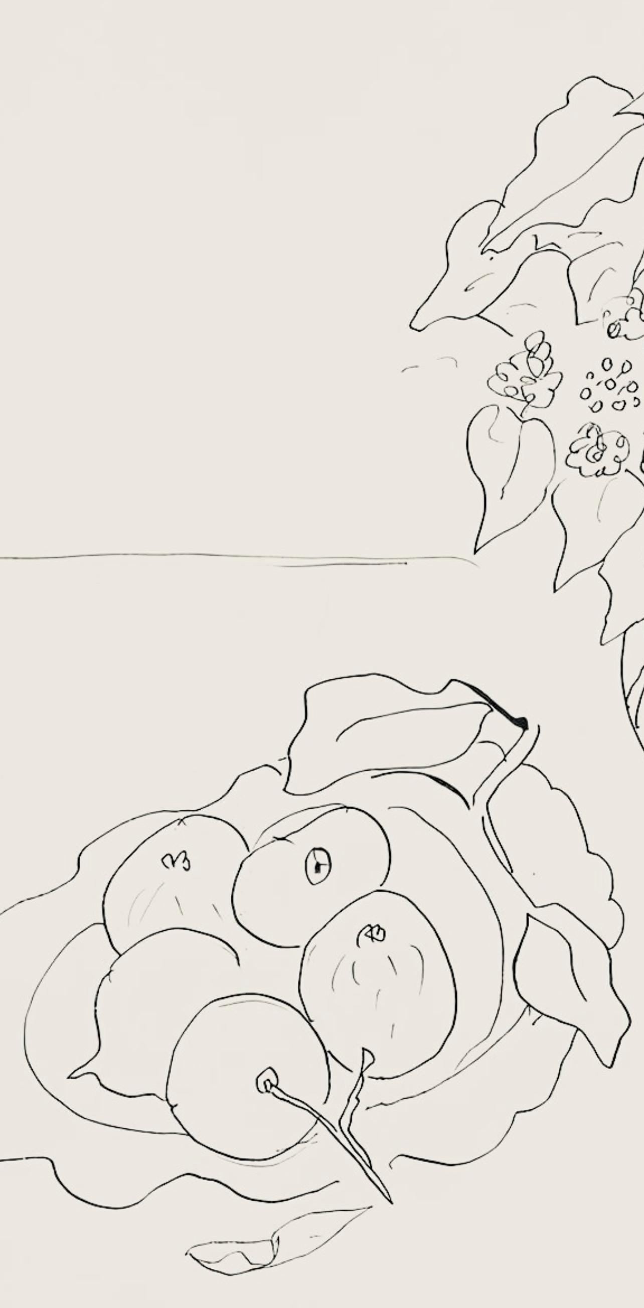 Henri Matisse, Série S.A, var. 1 (Duthuit 9), Henri Matisse, Dessins, Thèmes et variations, Limited Edition Lithograph