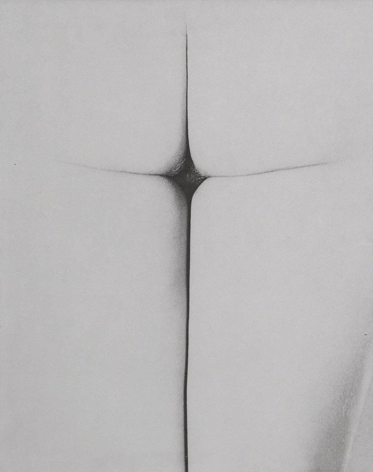 Erwin Blumenfeld, Composition, Erwin Blumenfeld, Electa Editrice Portfolios, Limited Edition Héliogravure