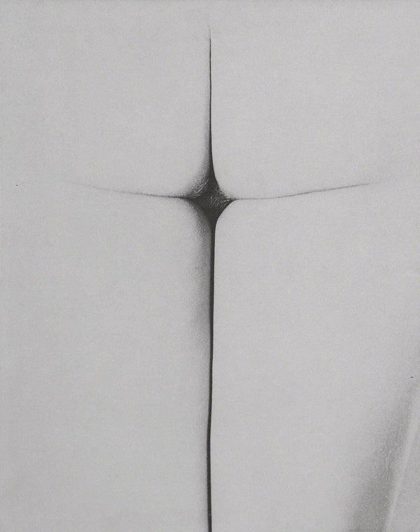 Erwin Blumenfeld, Composition, Erwin Blumenfeld, Electa Editrice Portfolios, Limited Edition Héliogravure