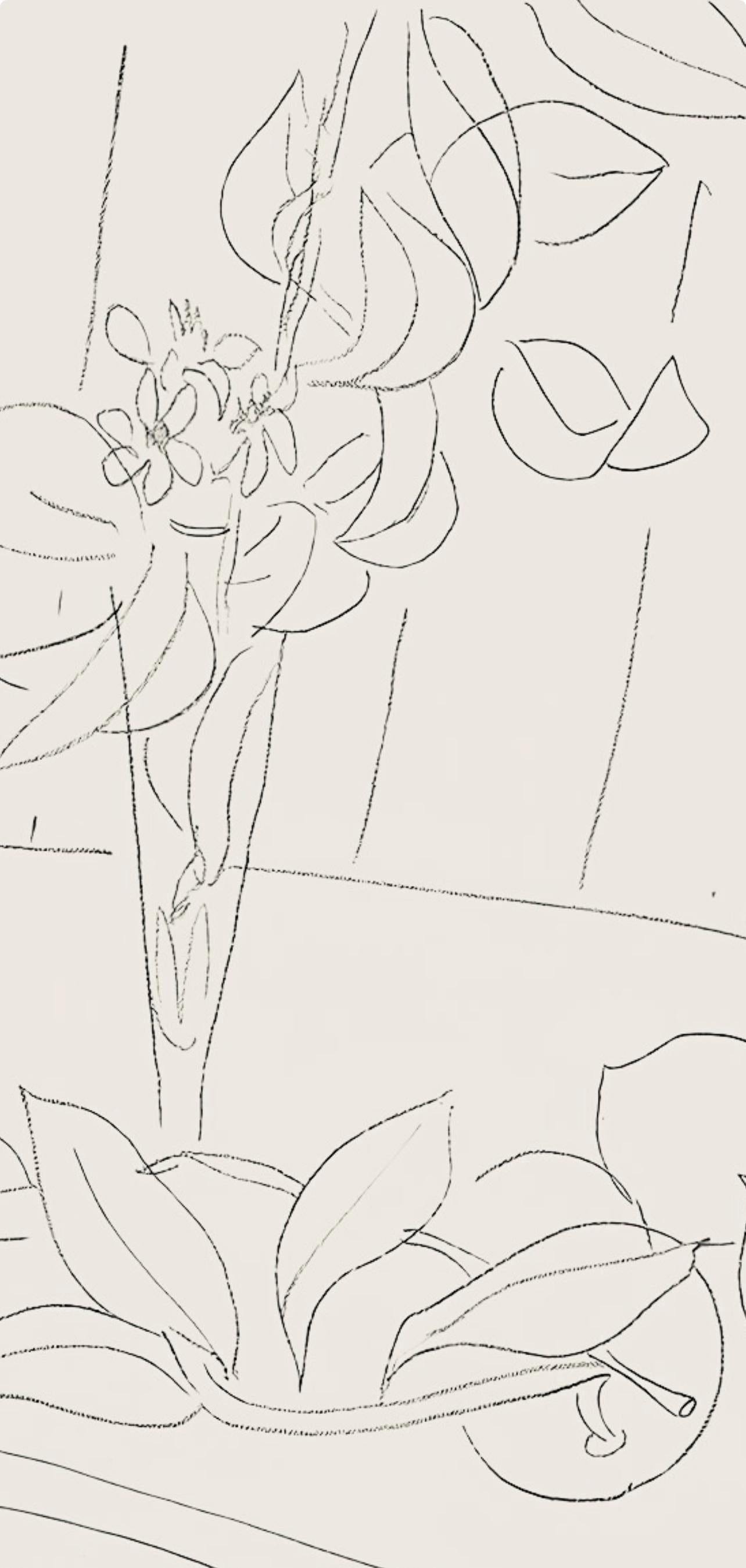 Henri Matisse, Série M, var. 5 (Duthuit 9), Henri Matisse, Dessins, Thèmes et variations, Limited Edition Lithograph