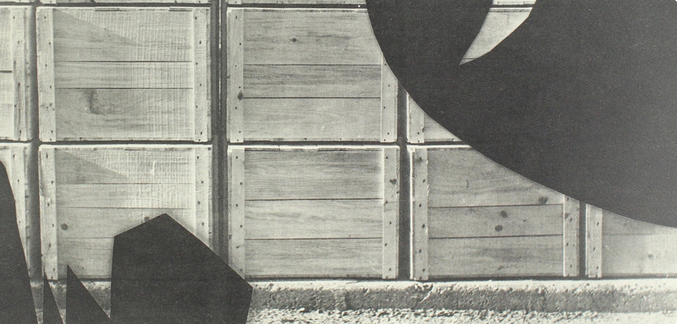 Pablo Picasso, Composition (Bloch 112; Kibbey 1466; Goeppert 115), Diurnes Découpages et Photographies, Limited Edition Phototype