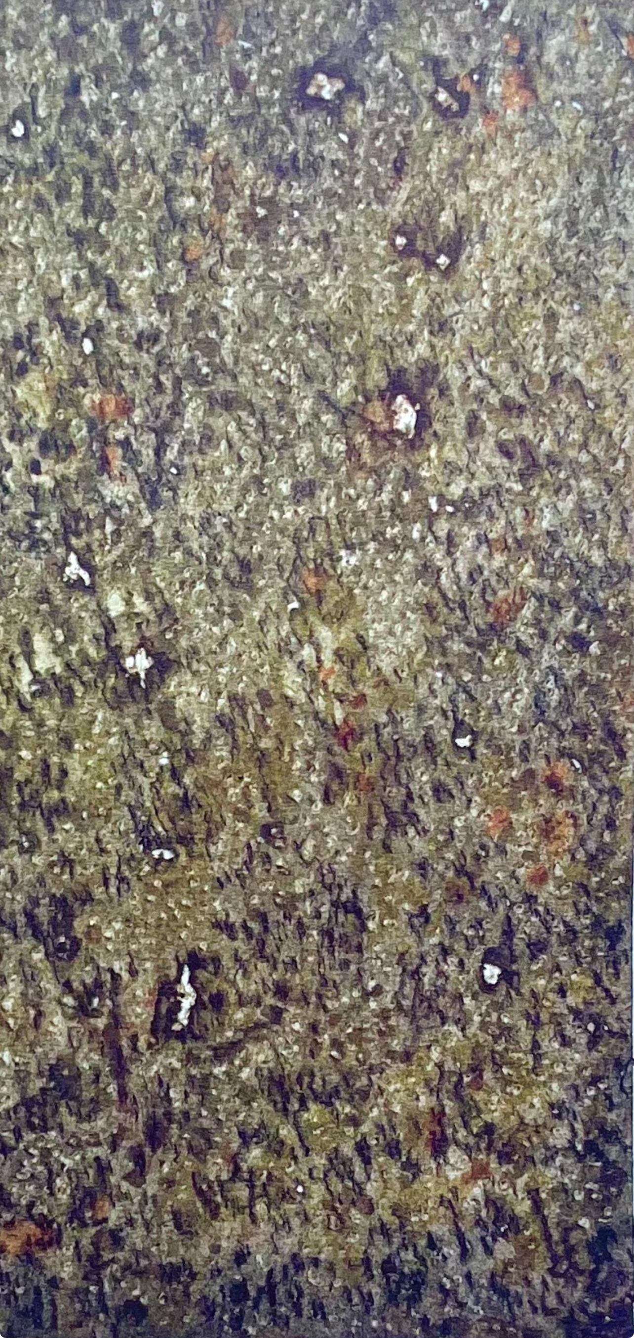 Mark Tobey, Composition, Mark Tobey, Peintres d'aujourd'hui, Limited Edition Lithograph