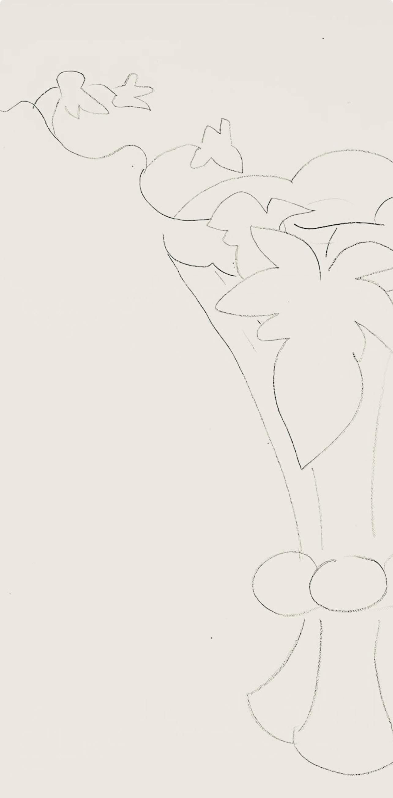 Henri Matisse, Série H, var. 5 (Duthuit 9), Henri Matisse, Dessins, Thèmes et variations, Limited Edition Lithograph