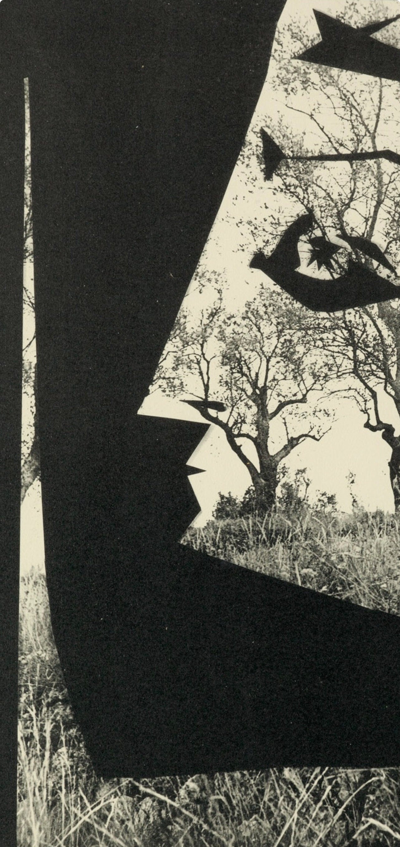 Pablo Picasso, Composition (Bloch 112; Kibbey 1466; Goeppert 115), Diurnes Découpages et Photographies, Limited Edition Phototype