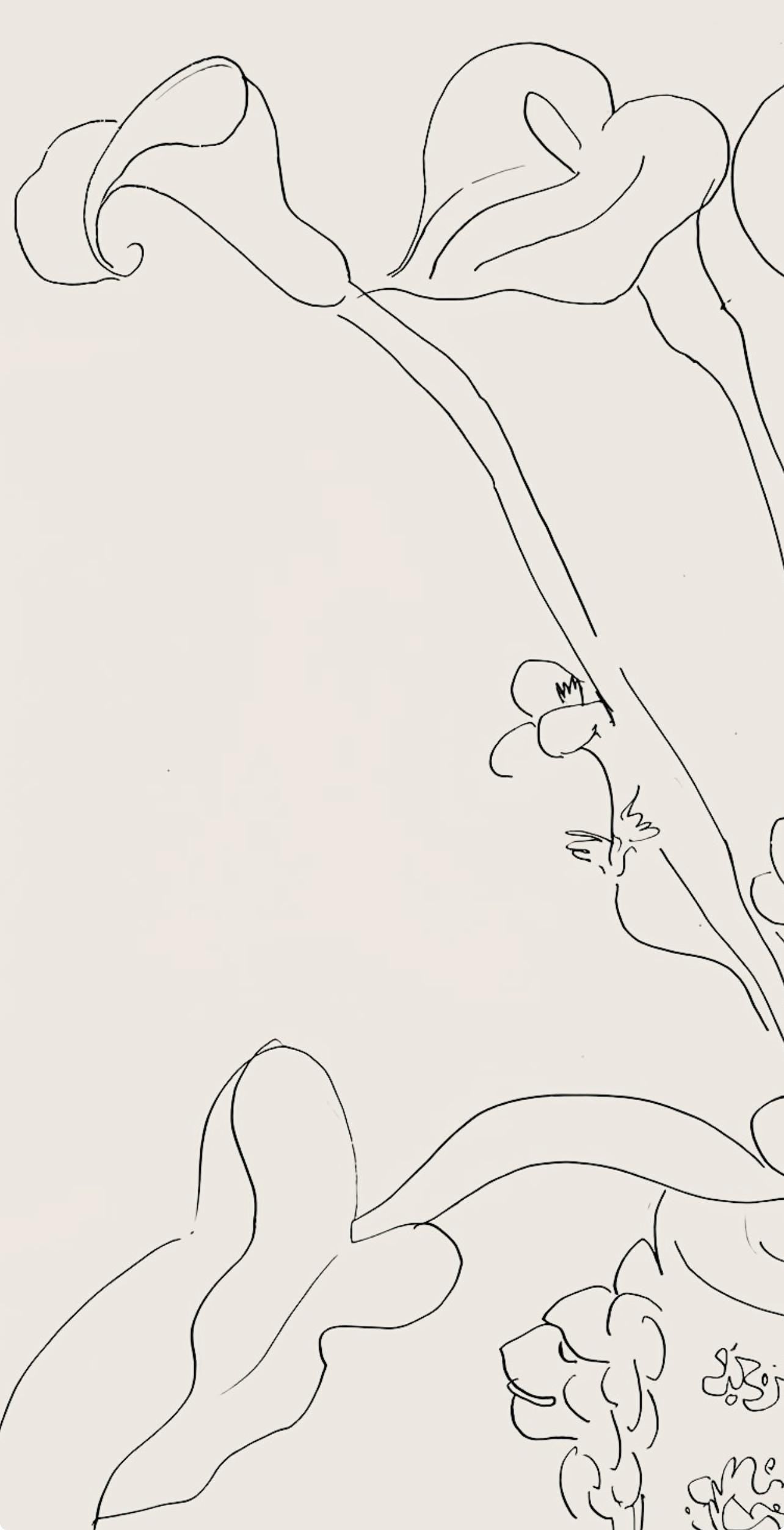 Henri Matisse, Série N Gc'S, var. 6 (Duthuit 9), Henri Matisse, Dessins, Thèmes et variations, Limited Edition Lithograph