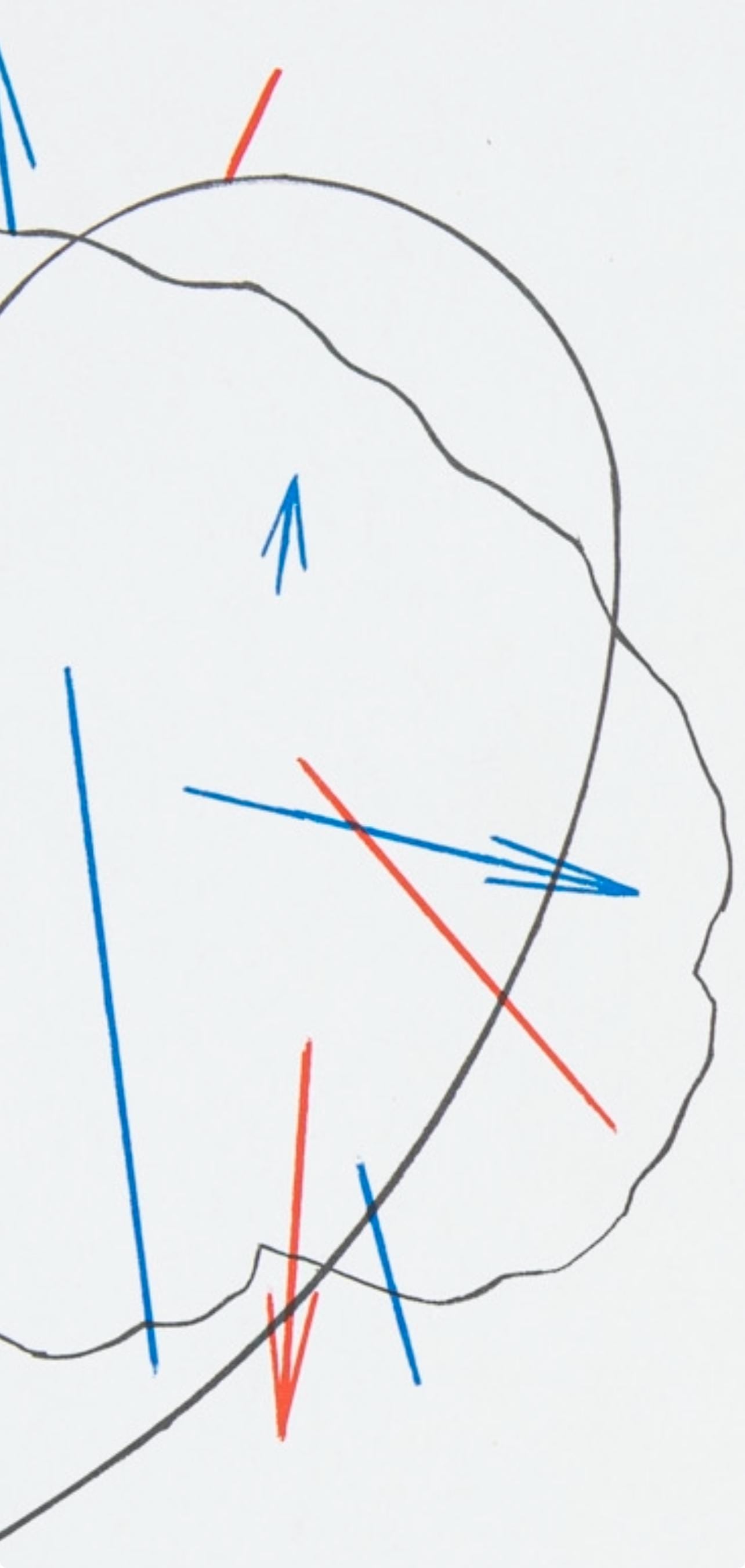 Shusaku Arakawa 荒川 修作, Composition, Derrière le miroir, Limited Edition Lithograph
