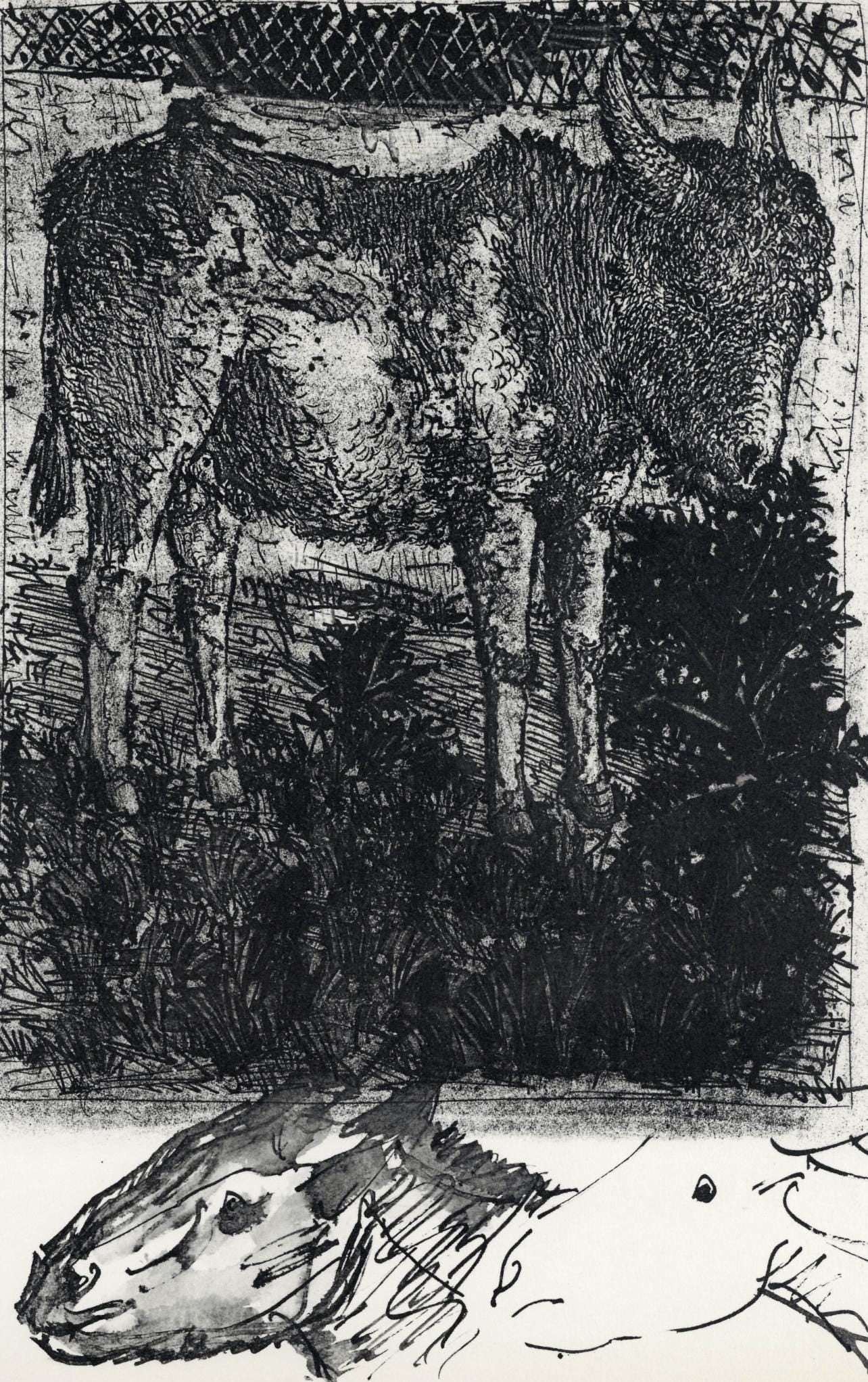 Pablo Picasso, Anes, sur une planche gravée (Cramer No. 84), 40 dessins de Picasso en marge du Buffon, Limited Edition Lithograph