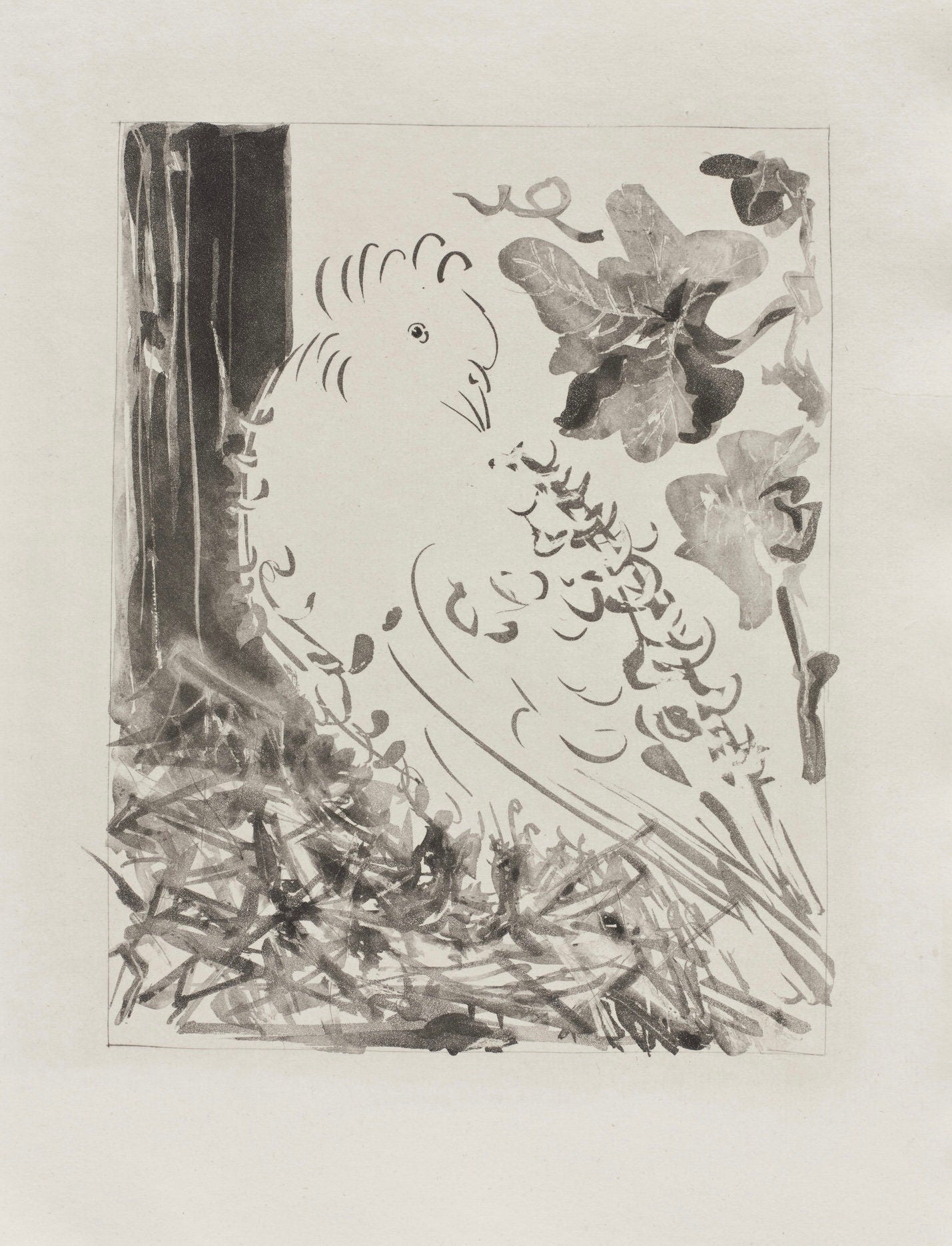 Pablo Picasso, Le Pigeon, Histoire naturelle, Limited Edition Lithograph
