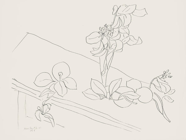 Henri Matisse, Série M, var. 2 (Duthuit 9), Henri Matisse, Dessins, Thèmes et variations, Limited Edition Lithograph