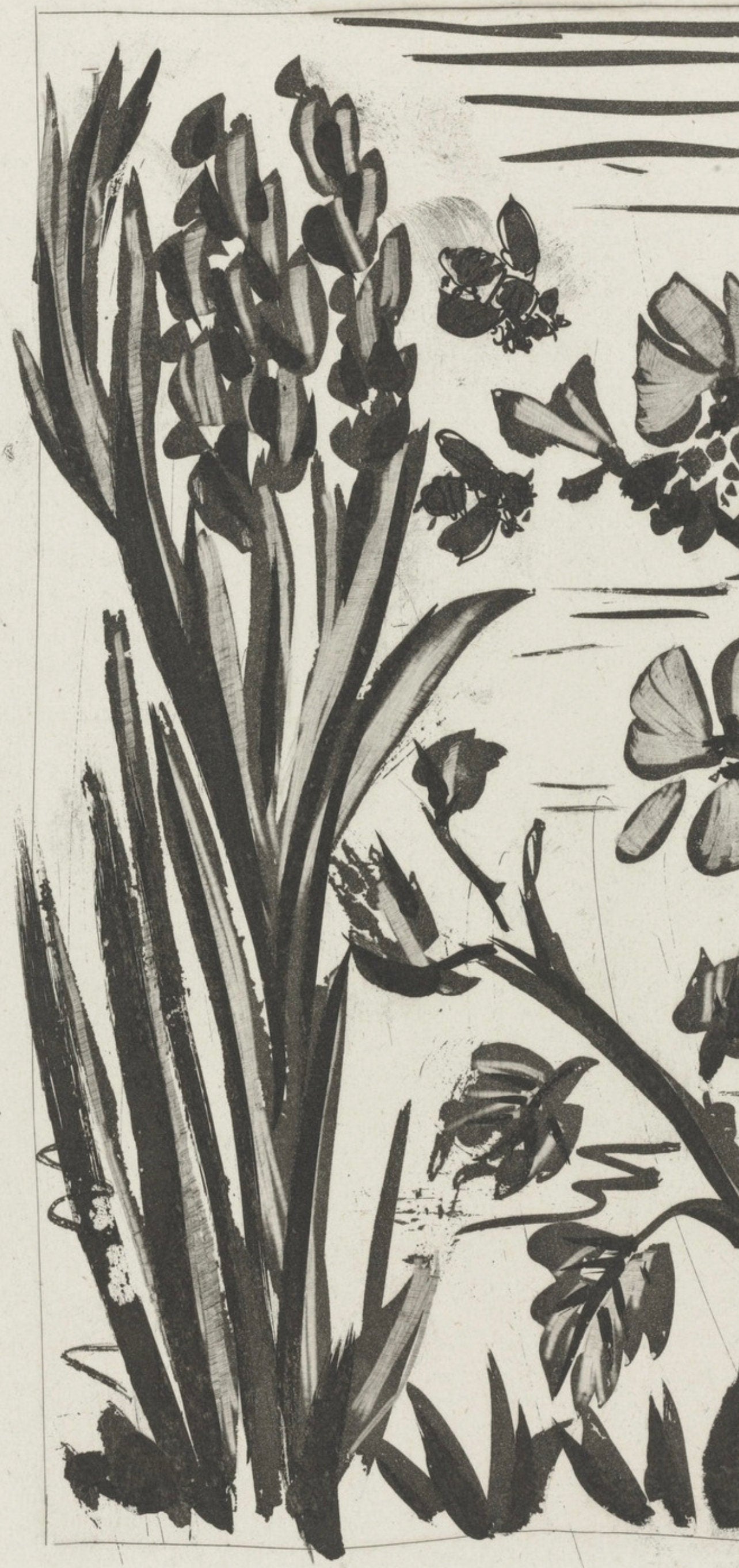 Pablo Picasso, L'Abeille, Histoire naturelle, Limited Edition Lithograph