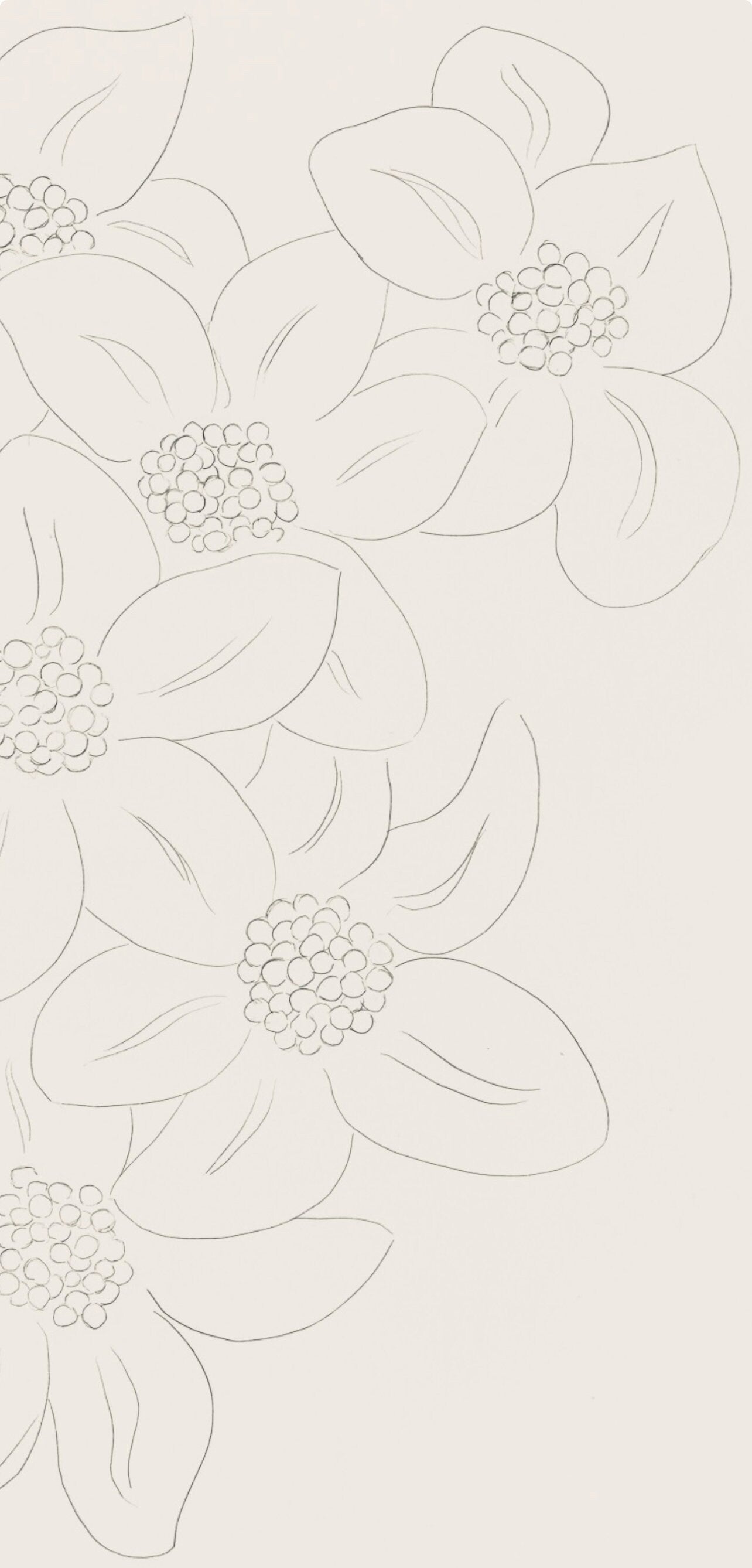 Henri Matisse, Les Fleurs (Flowers), Poésies, Limited Edition Lithograph