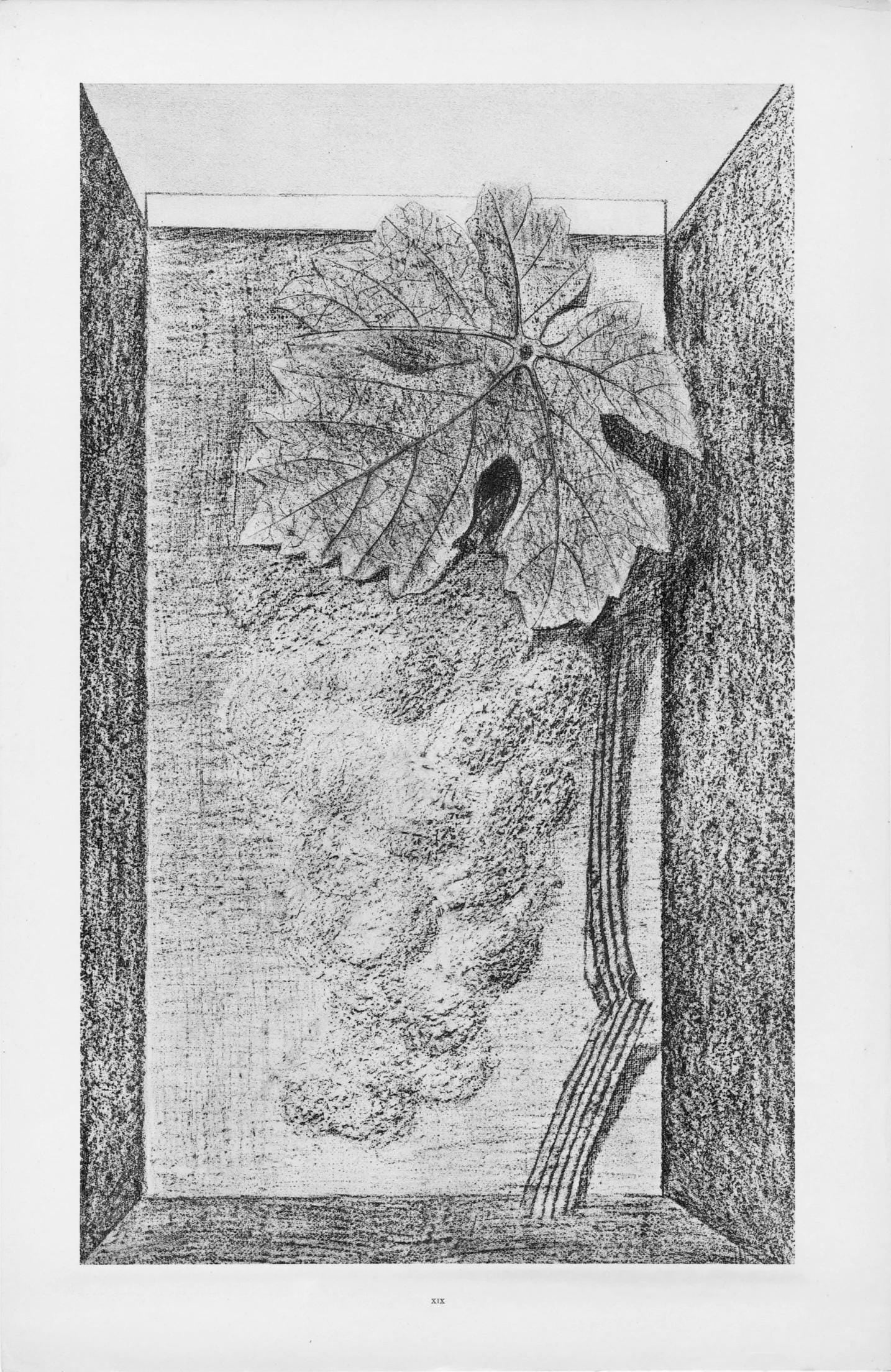 Max Ernst, Composition (Spies/Leppien 222), Histoire Naturelle, Limited Edition Lithograph